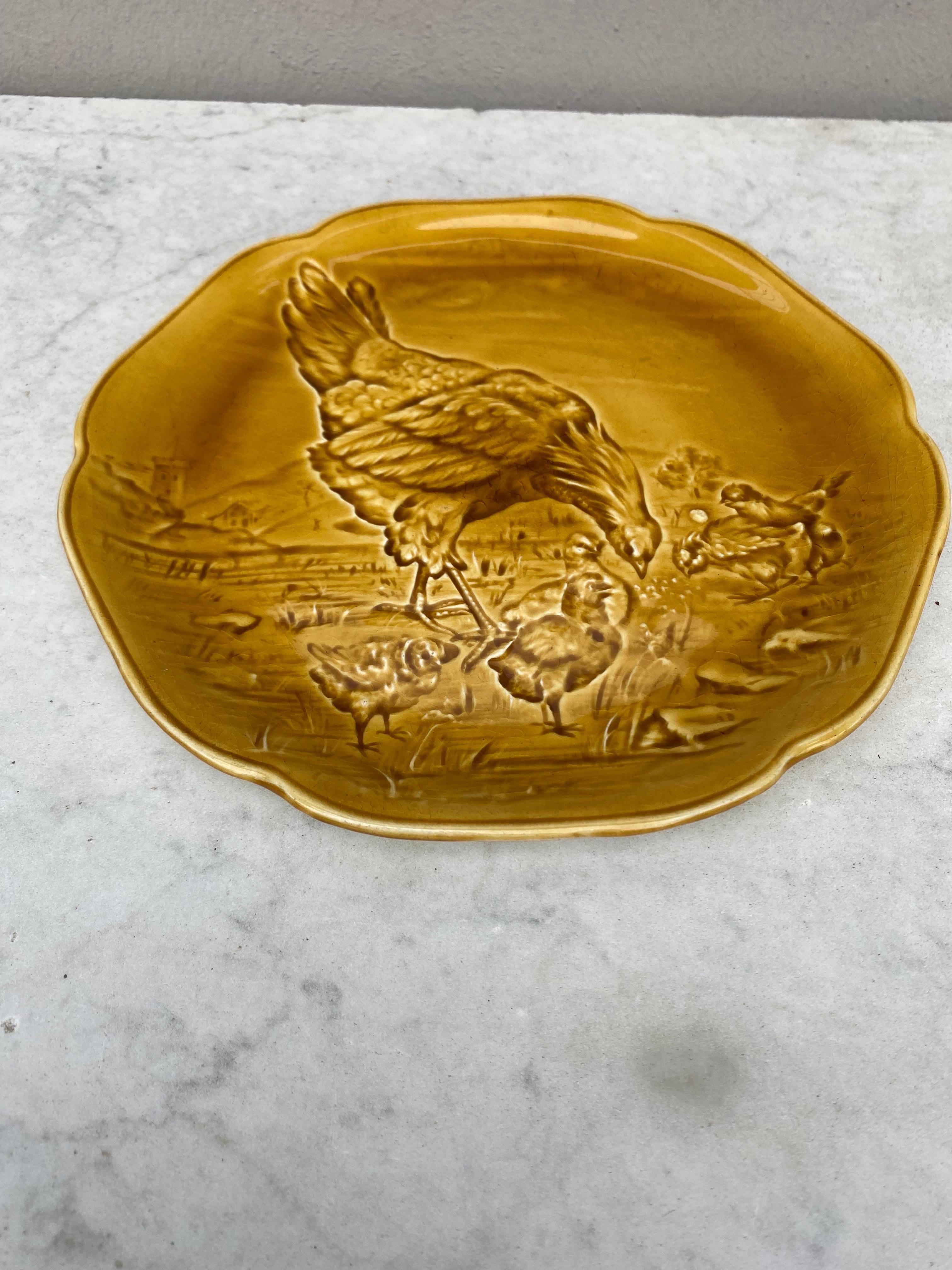 French 19th Century Yellow Majolica Hen & Chicks Plate Choisy Le Roi