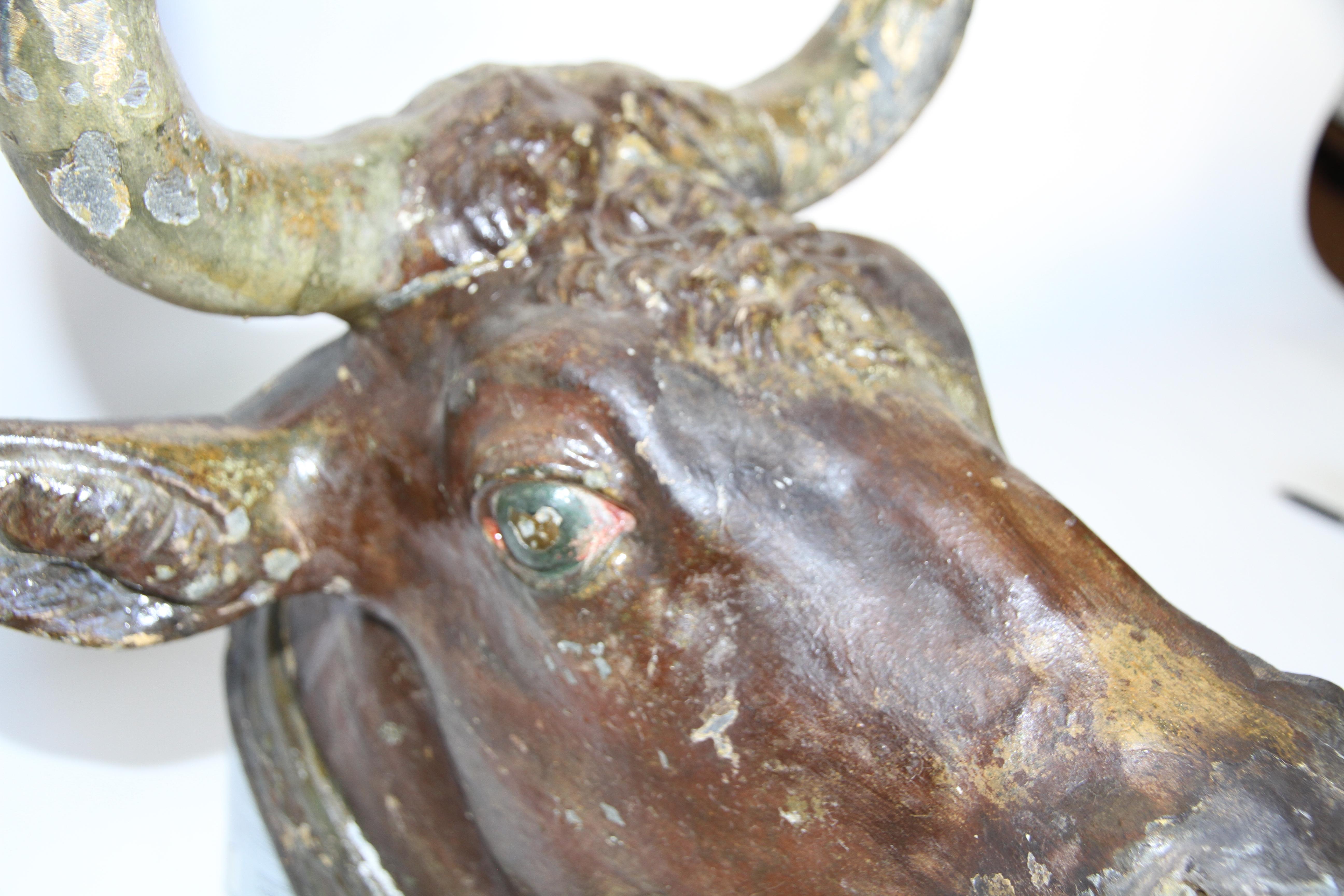 19th Century Zinc Bull Head 3