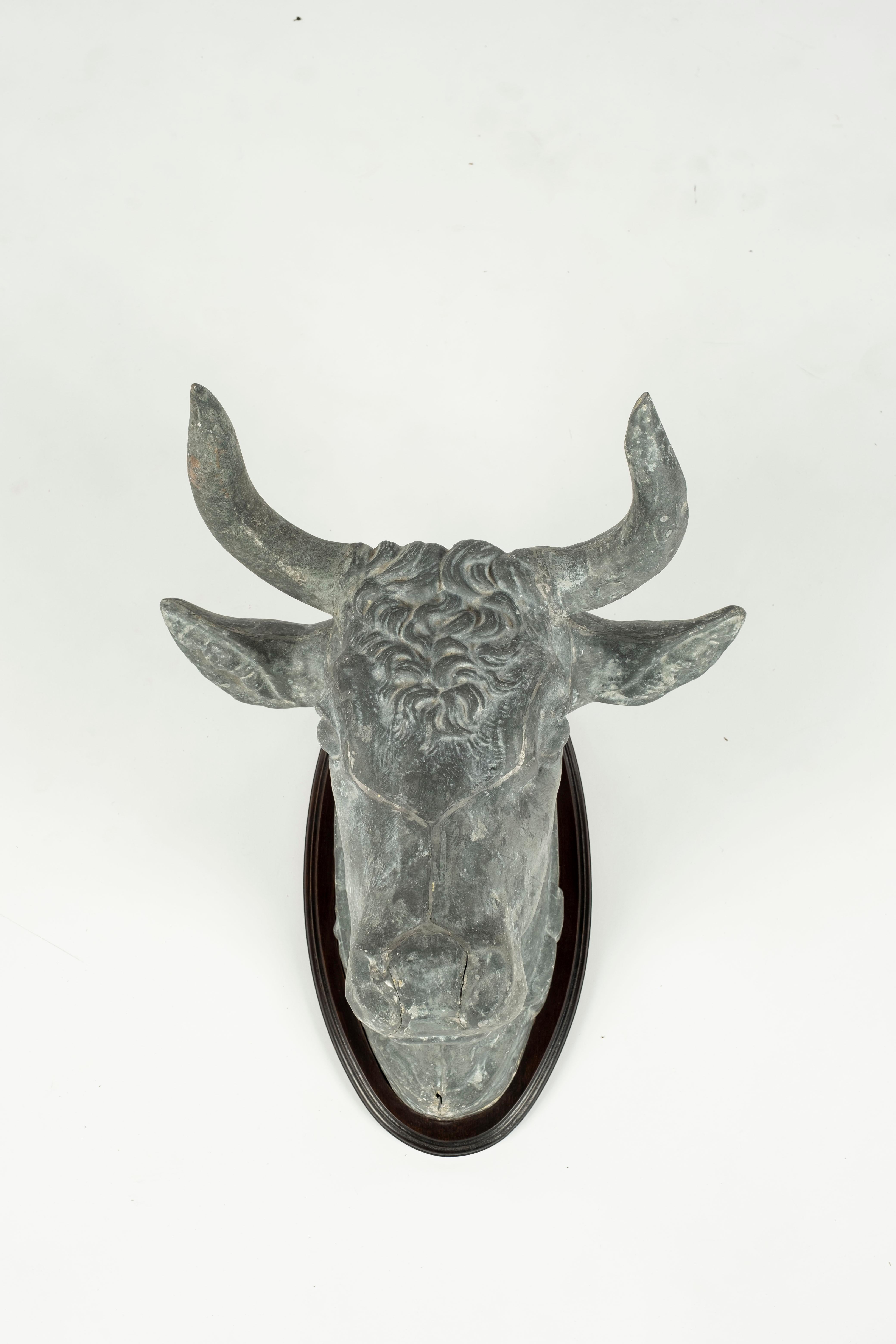 Tête de taureau en zinc utilisée à l'origine comme enseigne de boucherie en France. De beaux détails au niveau du visage. La tête a été montée sur une plaque en bois à des fins d'exposition.