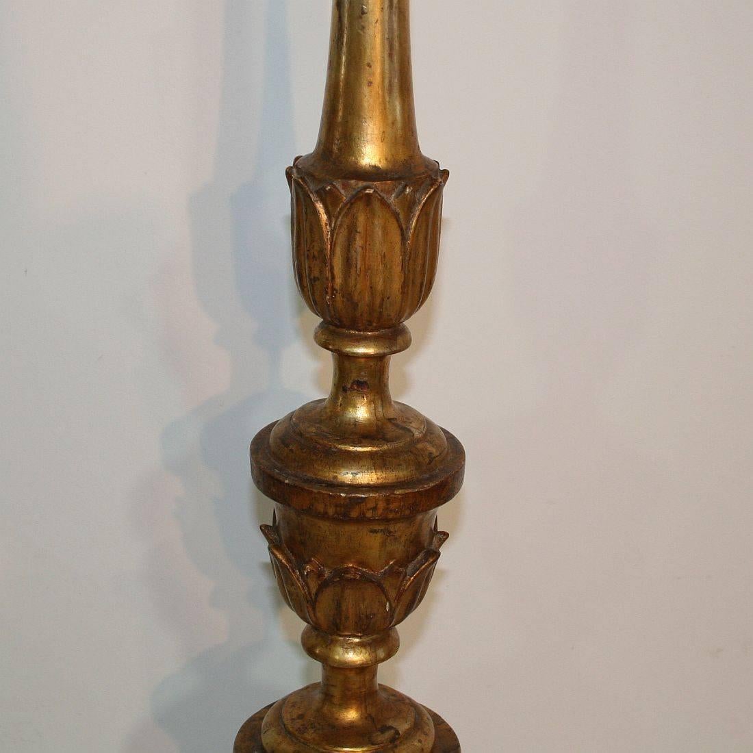19th Century, Italian Neoclassical Giltwood Candlesticks 3