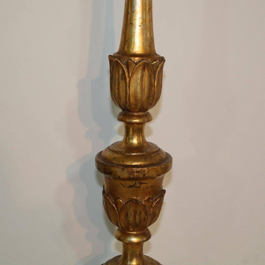 19th Century, Italian Neoclassical Giltwood Candlesticks 6