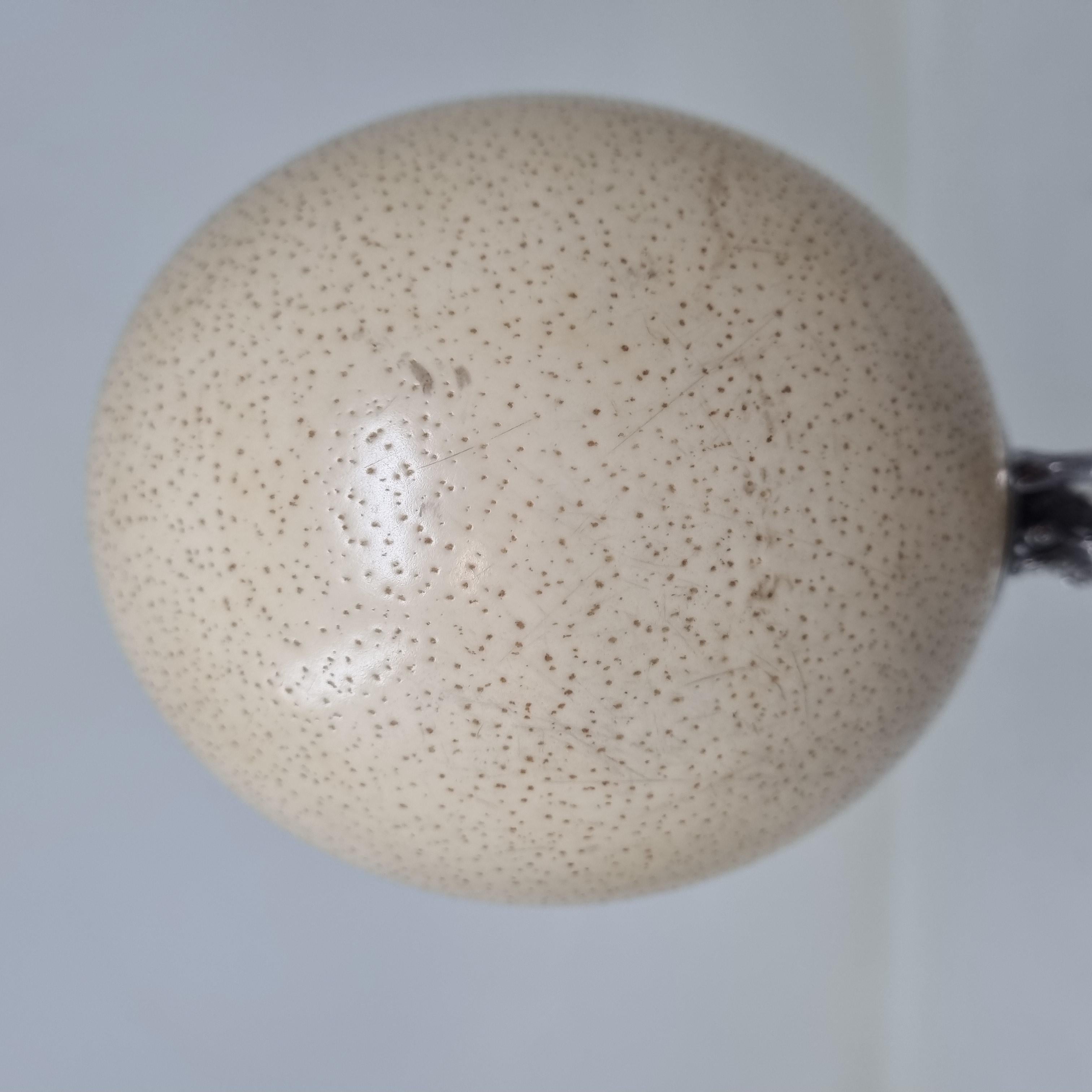 19th Century Ostrich Egg For Sale 9