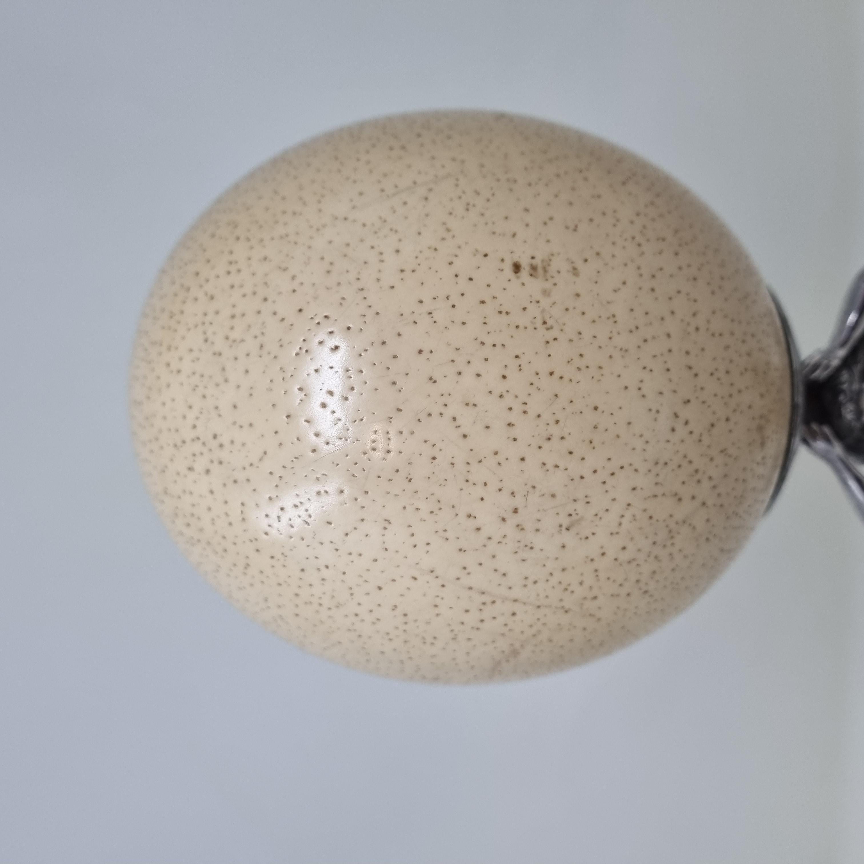 19th Century Ostrich Egg For Sale 2