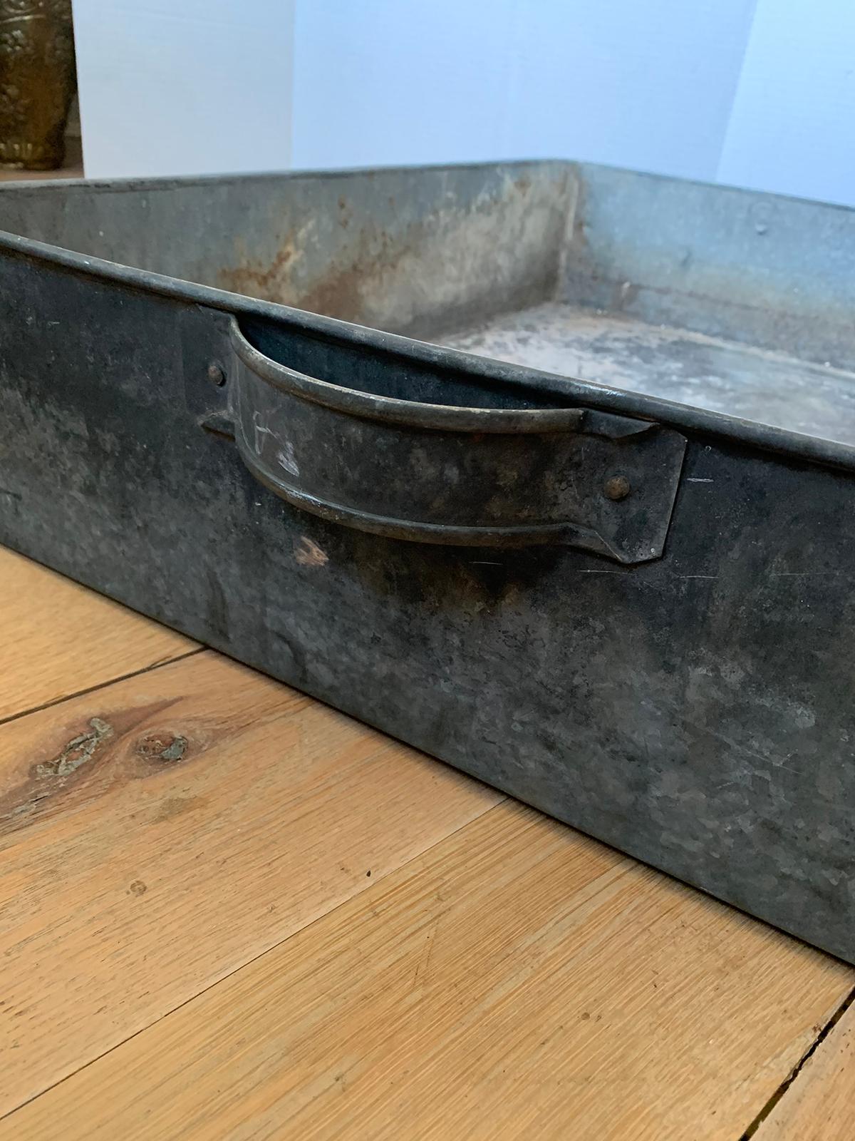 19th-Early 20th Century Tole Tray with Handles, Large Scale For Sale 5