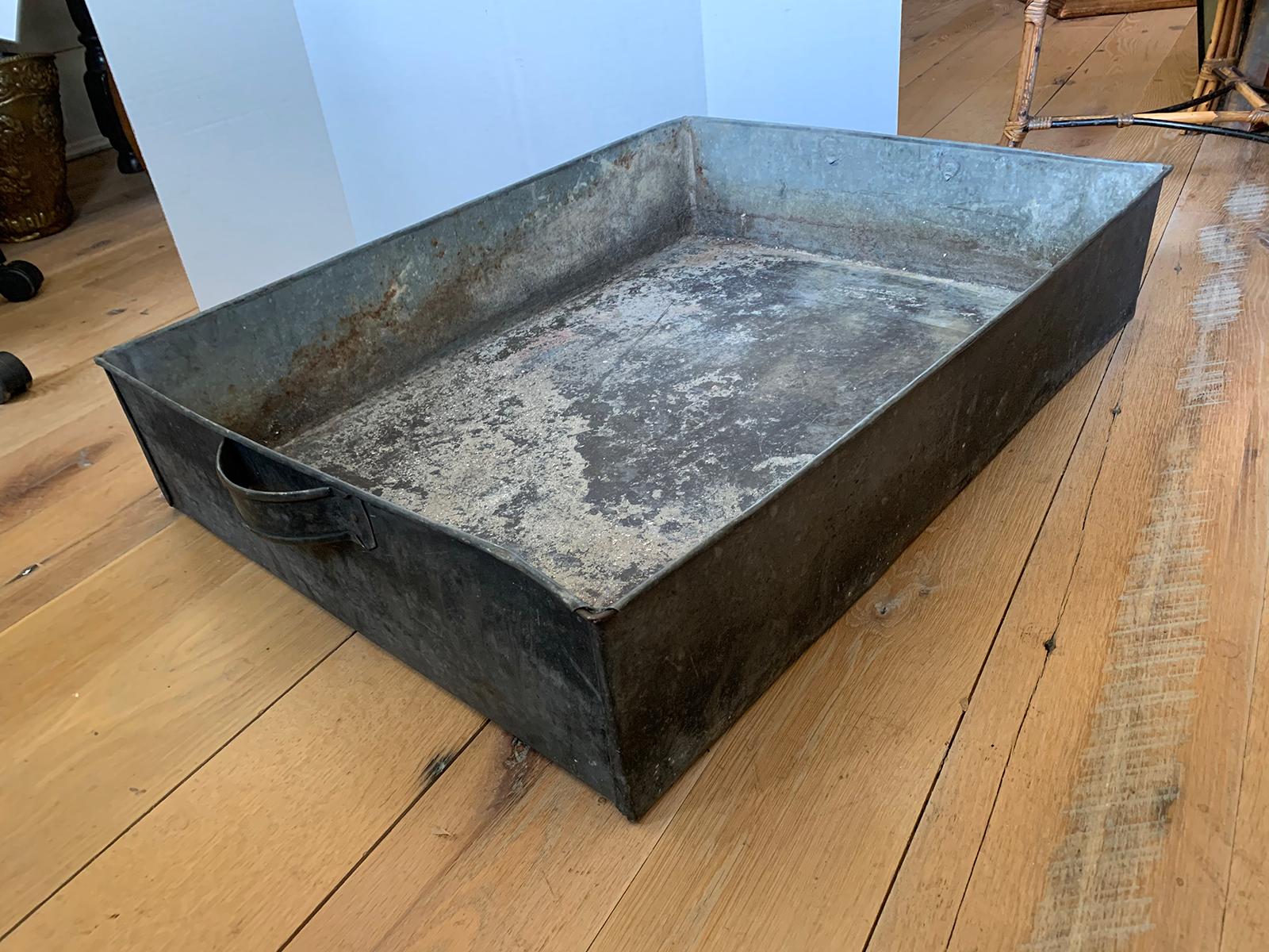 19th-Early 20th Century Tole Tray with Handles, Large Scale For Sale 2