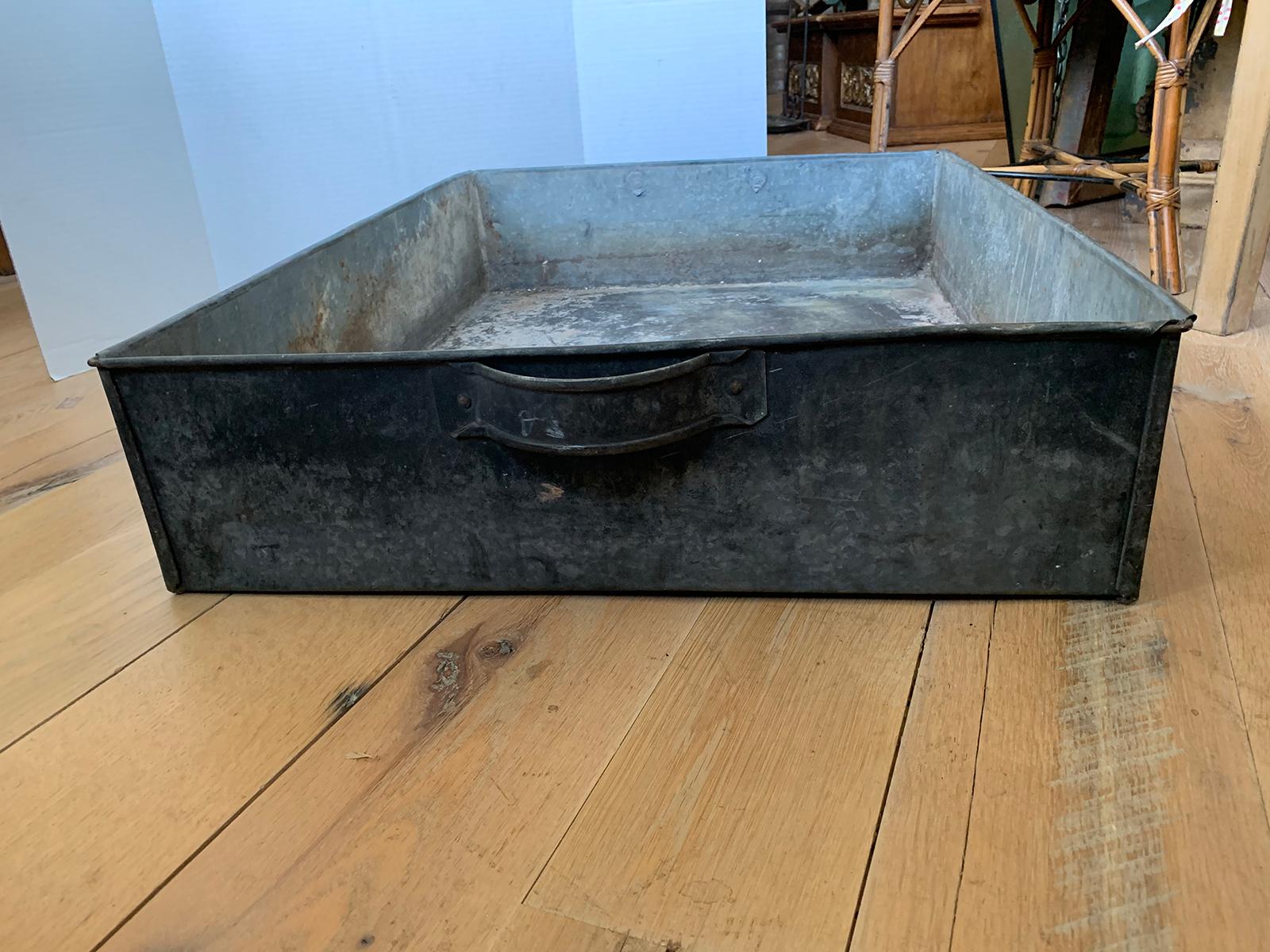 19th-Early 20th Century Tole Tray with Handles, Large Scale For Sale 3