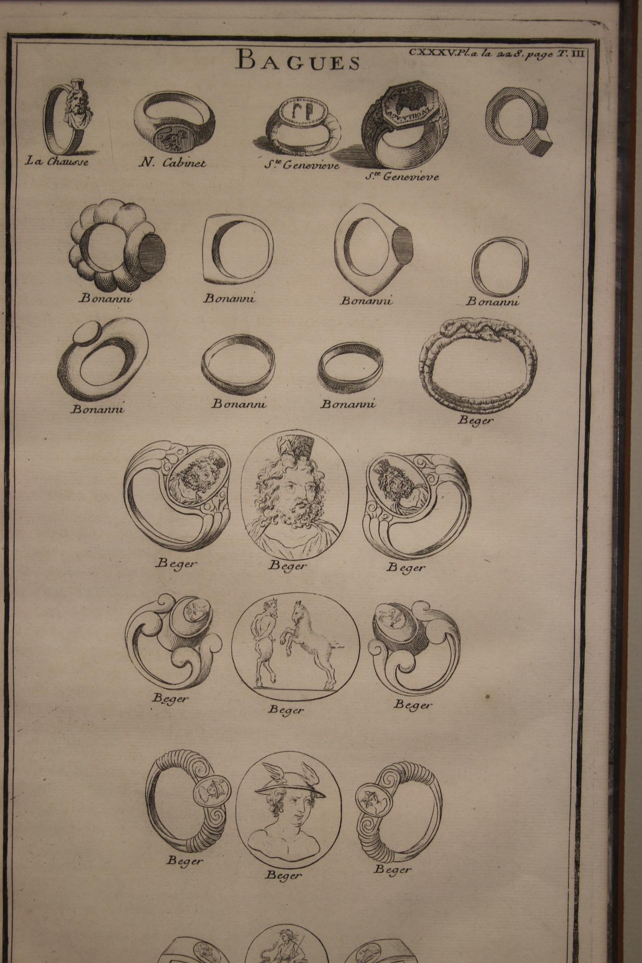 Stamp-Ringe aus einem Lehrbuch aus der 19. Auflage (19. Jahrhundert) im Angebot