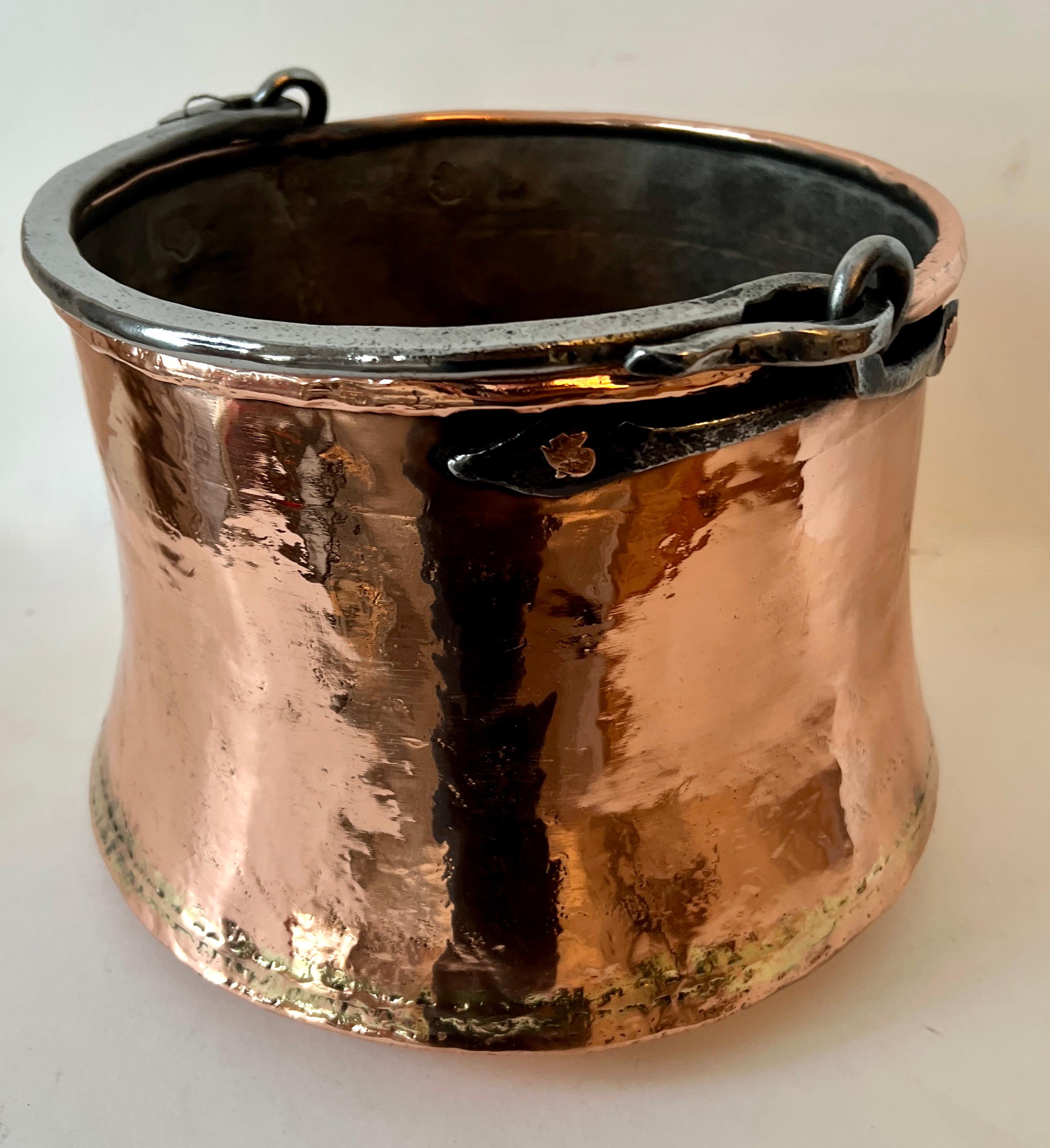 19th Century 19th English Century Copper Pot Centerpiece Jardiniere or Planter  For Sale