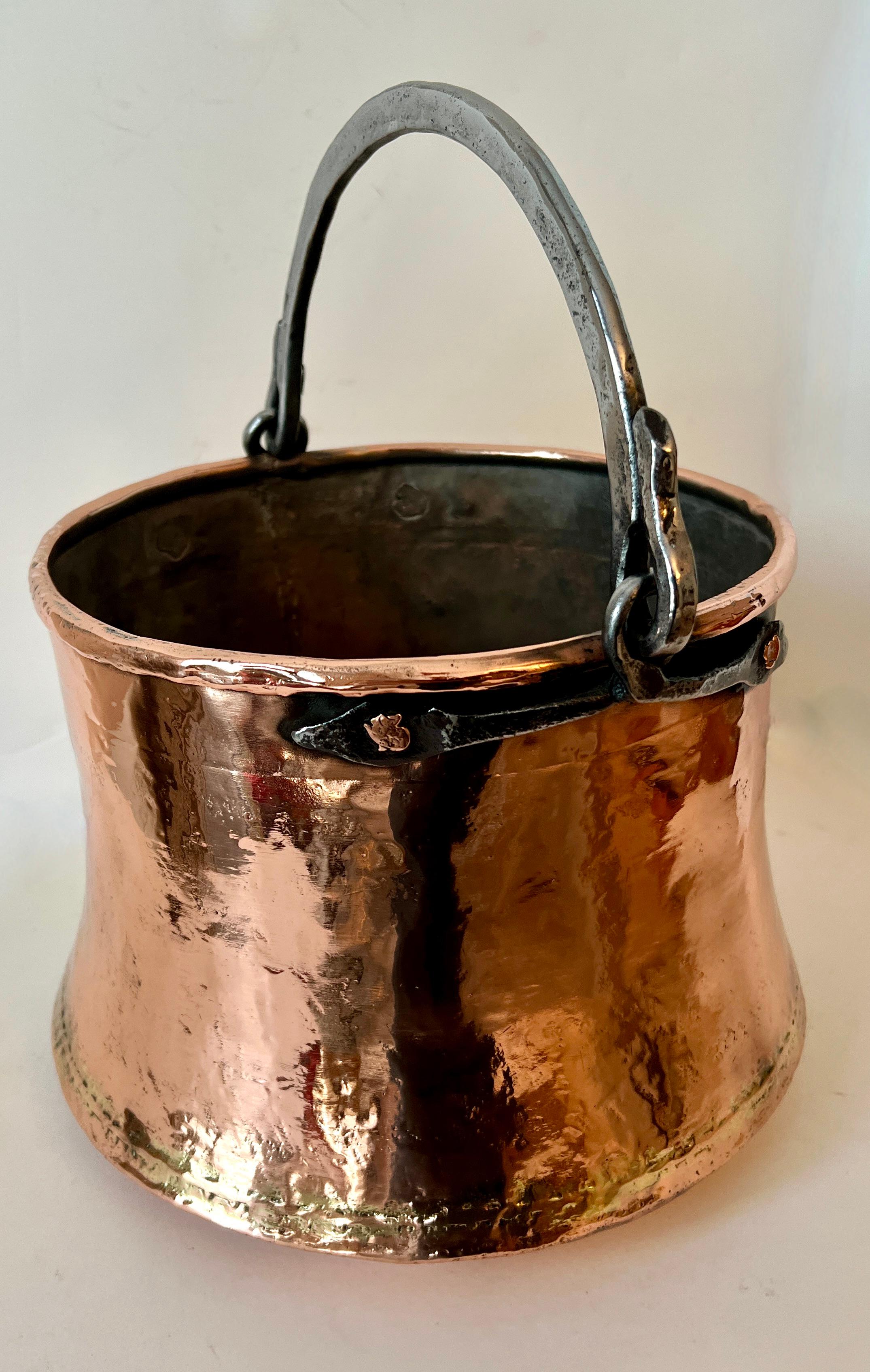 19th English Century Copper Pot Centerpiece Jardiniere or Planter  For Sale 1