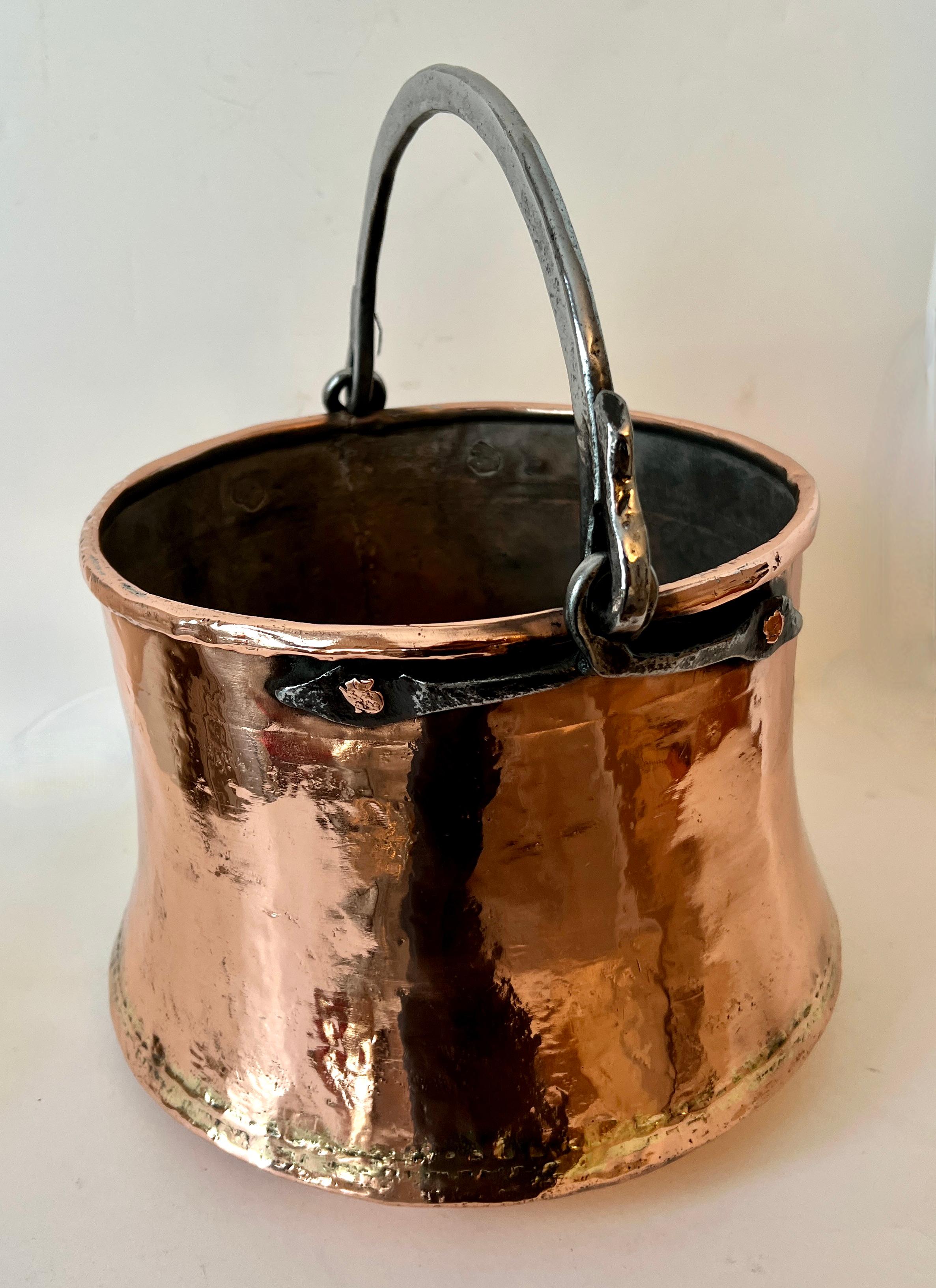 19th English Century Copper Pot Centerpiece Jardiniere or Planter  For Sale 2