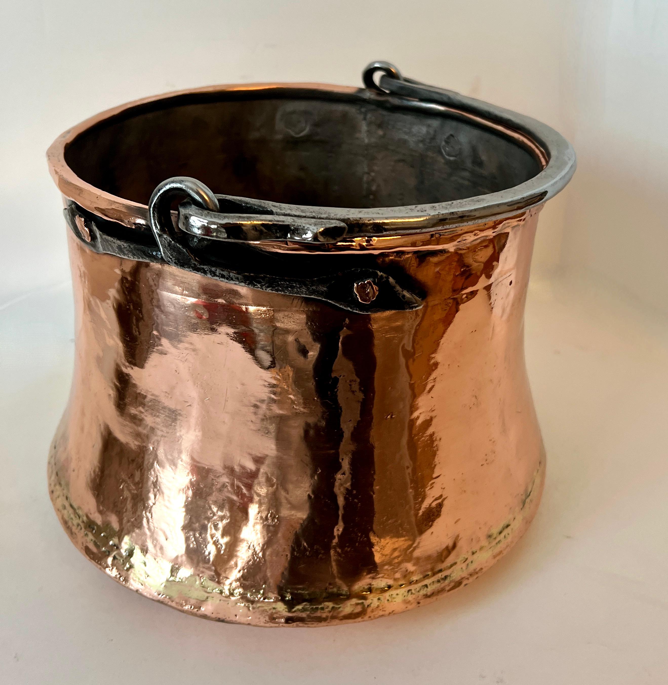 19th English Century Copper Pot Centerpiece Jardiniere or Planter  For Sale 3