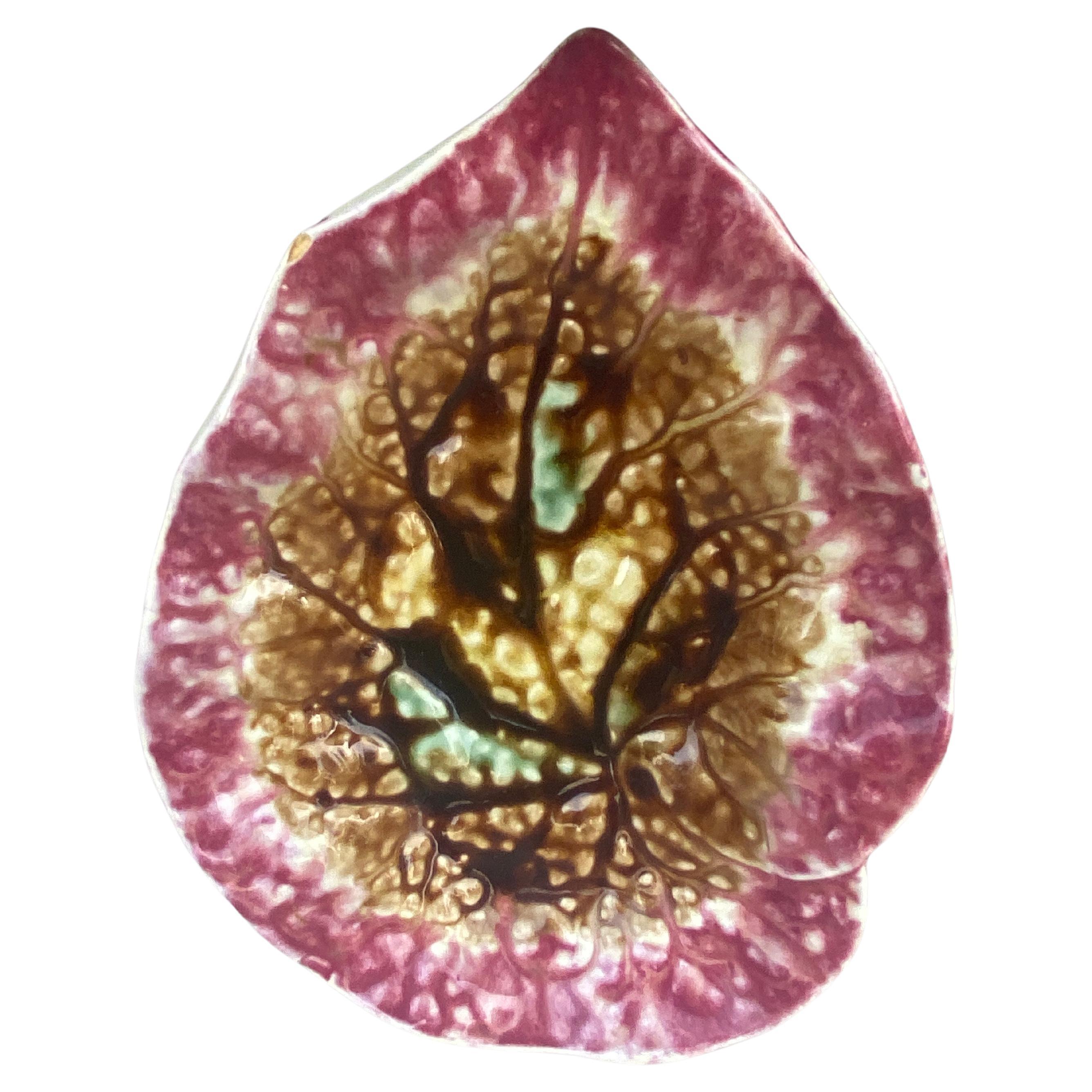 19th English Majolica Begonia Leaf For Sale