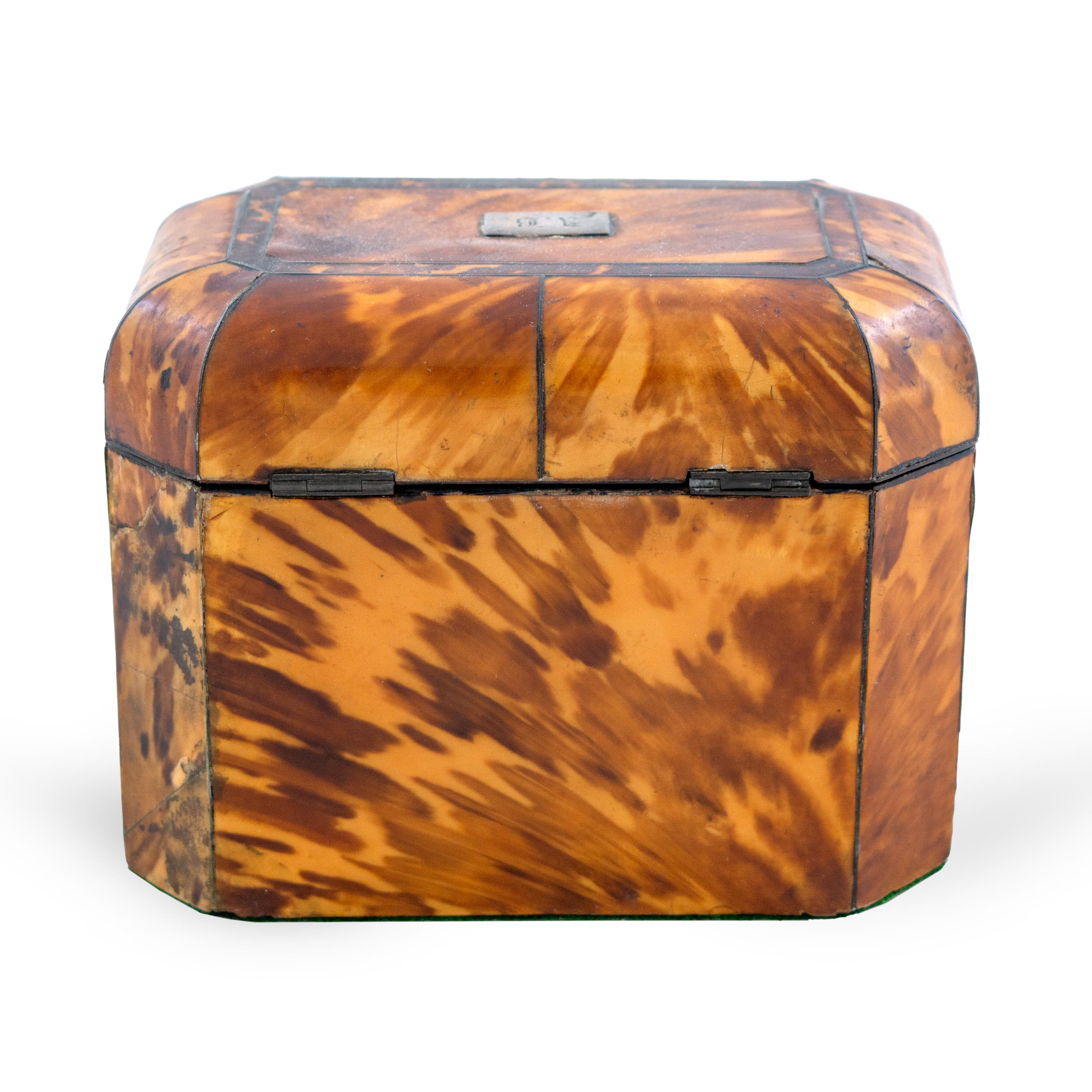 Veneer 19th Century English Regency Tea Caddy