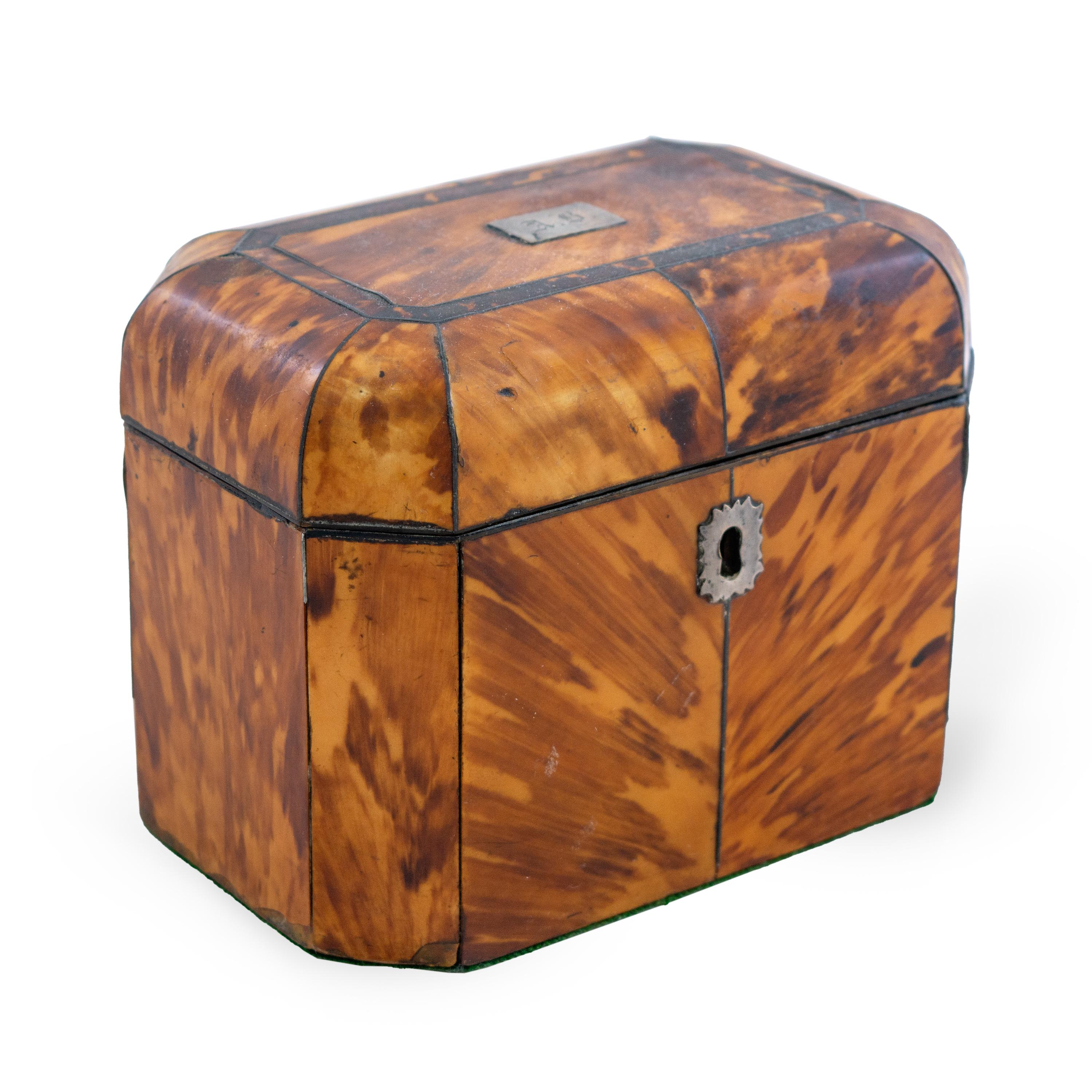 Tortoise Shell 19th Century English Regency Tea Caddy