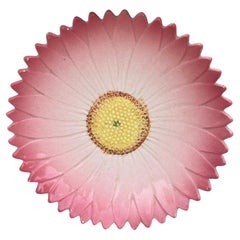 Assiette marguerite en majolique rose du 19ème siècle Delphin Massier