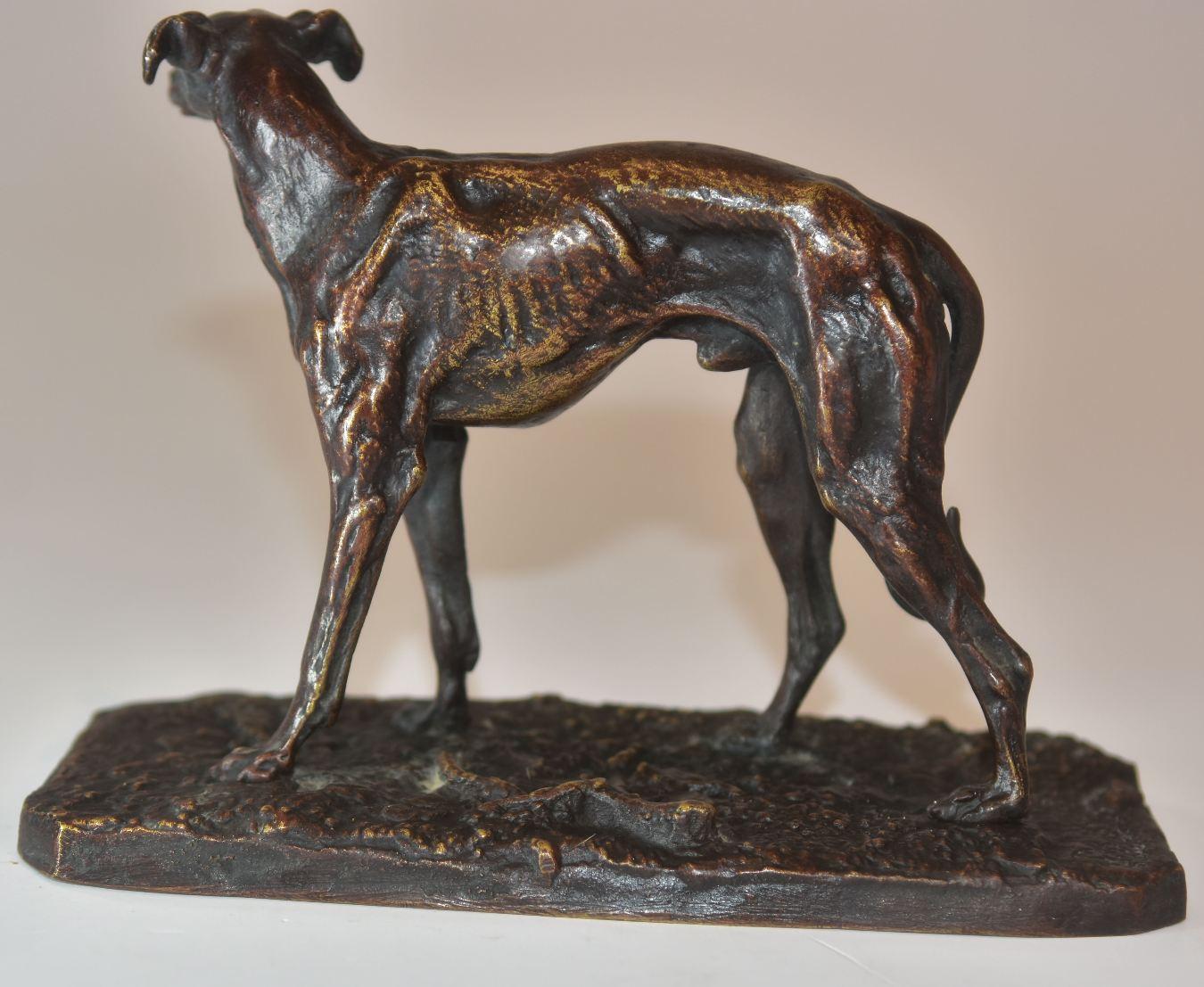 windhund aus Bronze, 19. Jahrhundert, hart patiniert, von Pierre-Jules Mêne (1810-1879), Maße: 13 cm hoch, 17,5 cm lang und 7 cm tief.