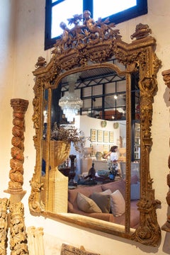 19th Hand Carved French Wall Mirror and Gilded Wood
