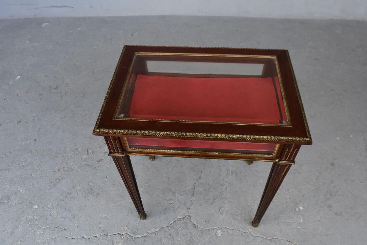 19th Mahogany Vitrine-Table in Louis XVI Style For Sale 2