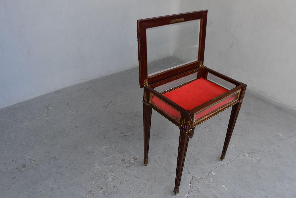 19th Mahogany Vitrine-Table in Louis XVI Style For Sale 4