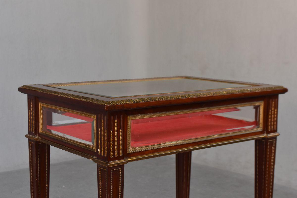 19th Mahogany Vitrine-Table in Louis XVI Style For Sale 3