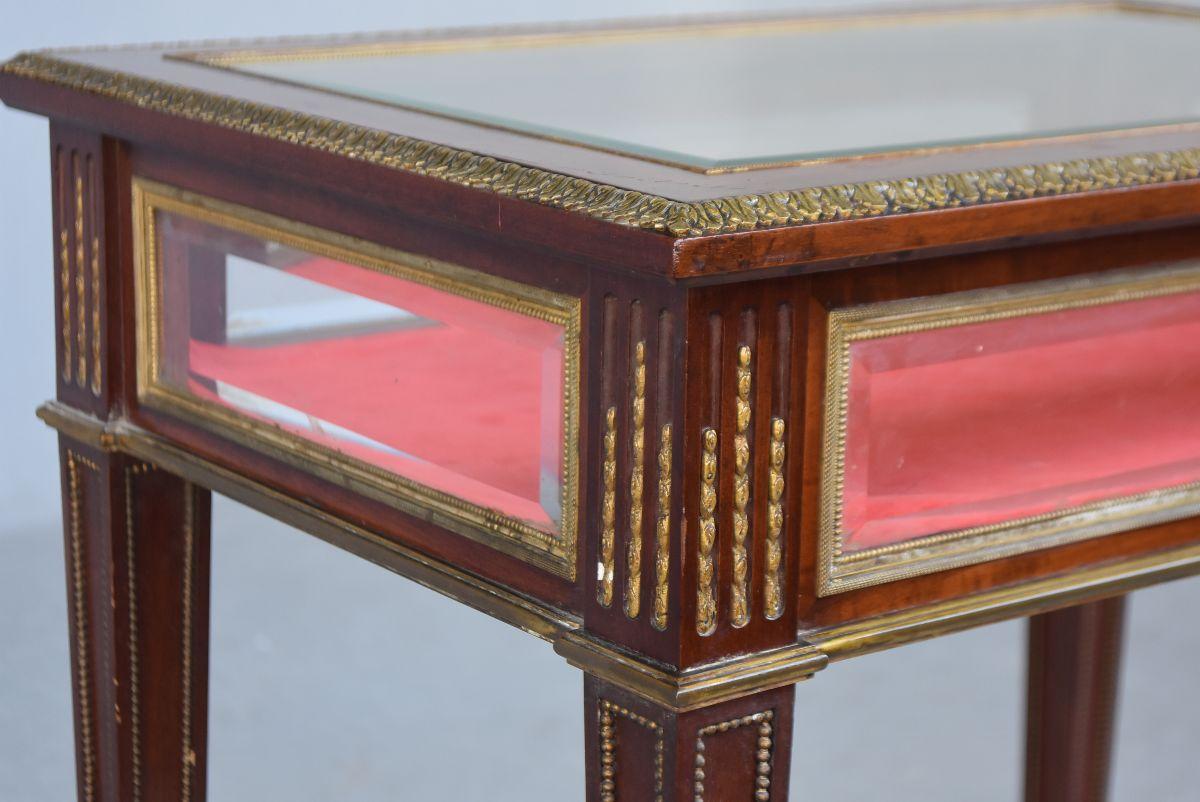 19th Century 19th Mahogany Vitrine-Table in Louis XVI Style For Sale
