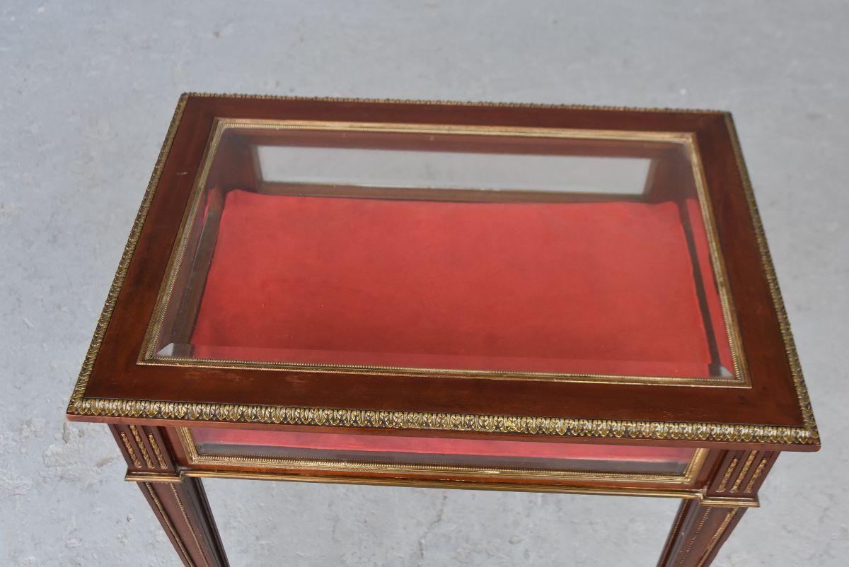 19th Mahogany Vitrine-Table in Louis XVI Style For Sale 1