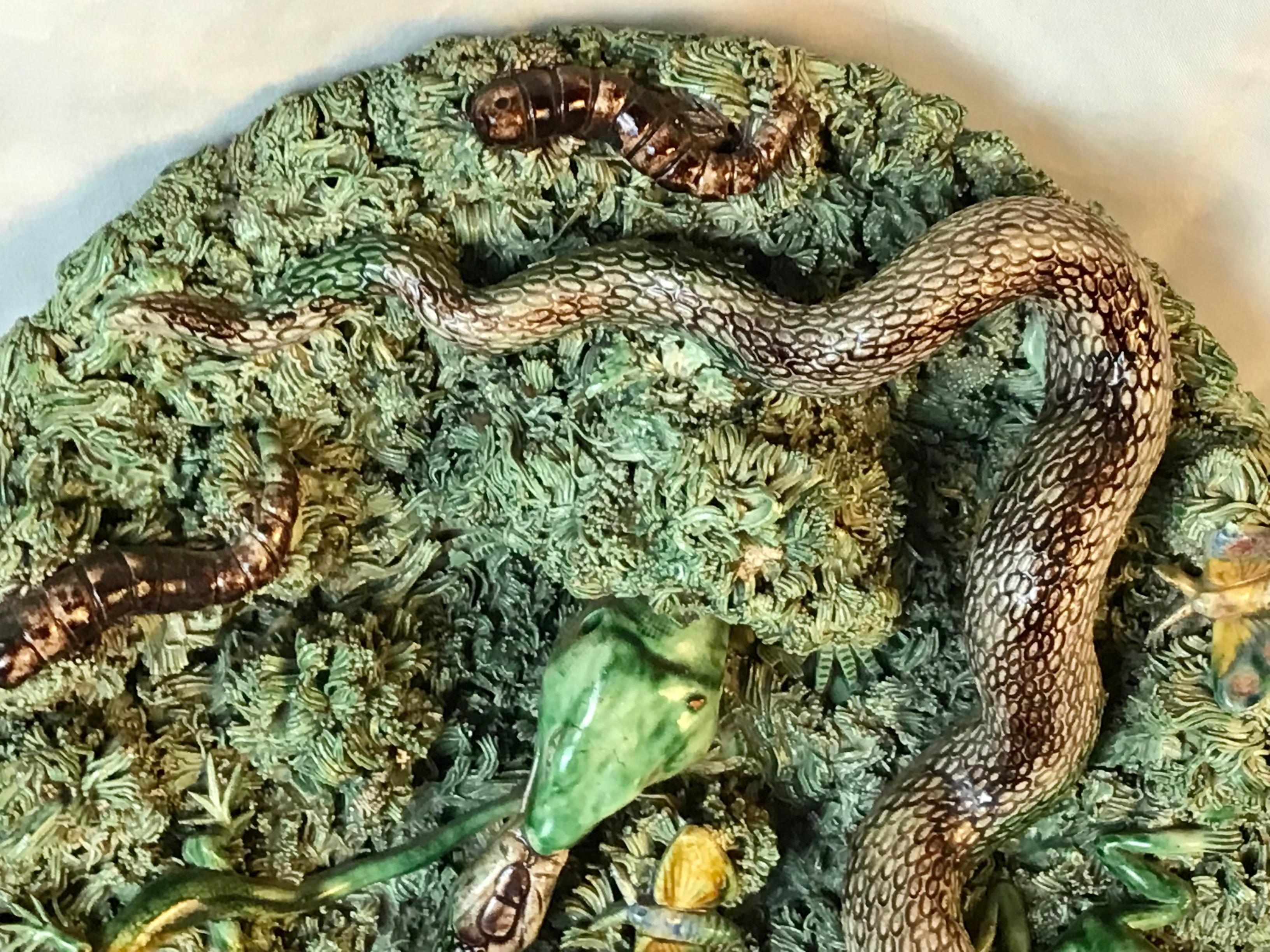 snake platter