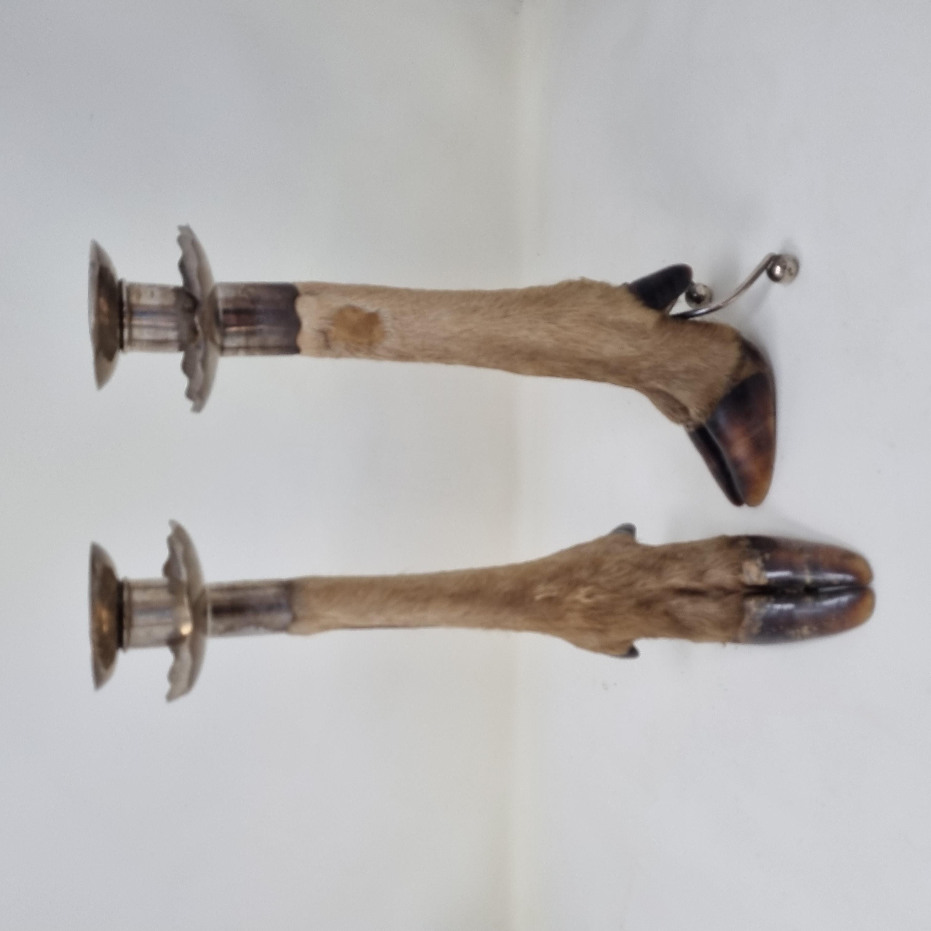 19th Century 19th Pair of Candelsticks For Sale