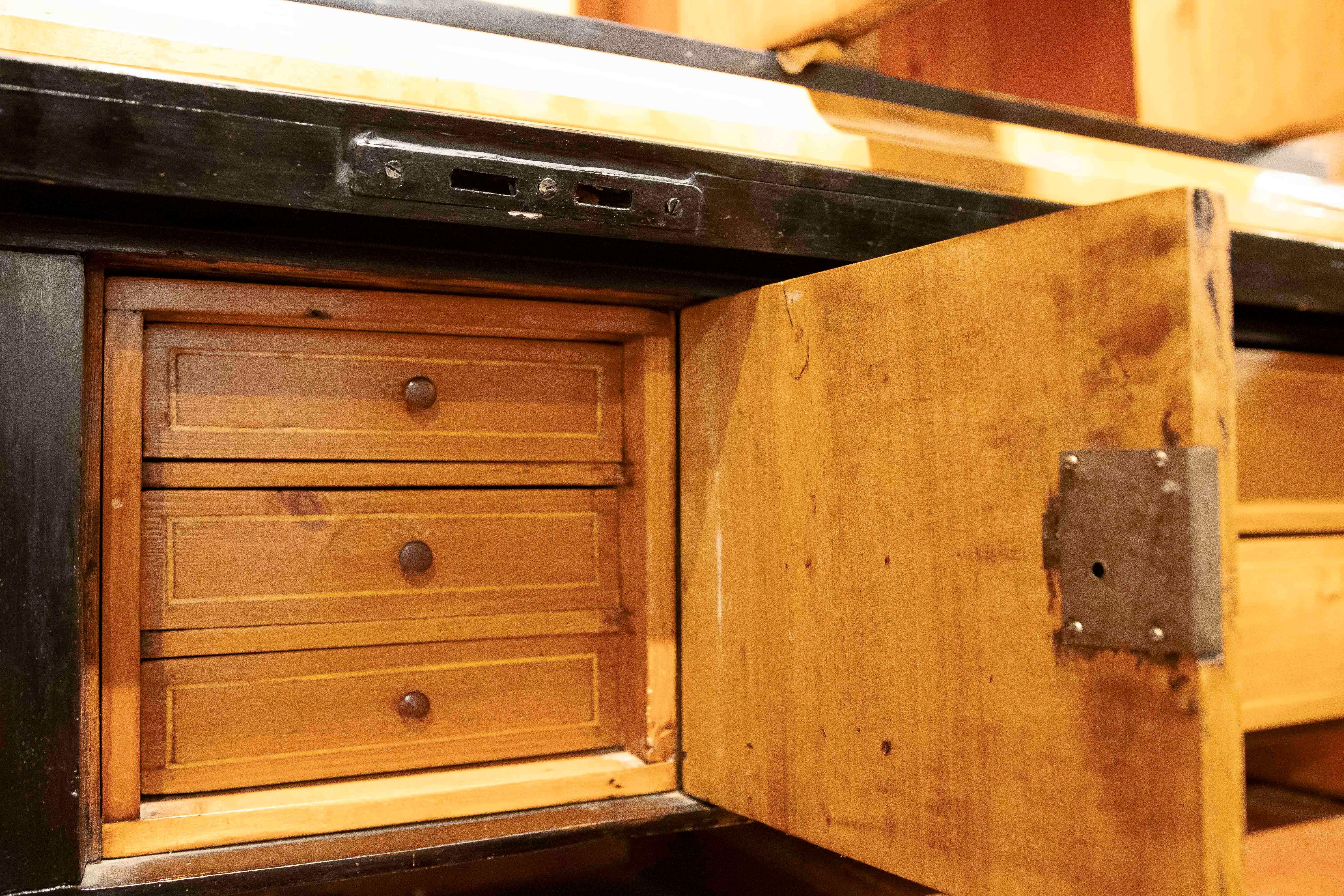 19th Swedish Biedermeier Desk Made of Birch Wood and Rosewood For Sale 5