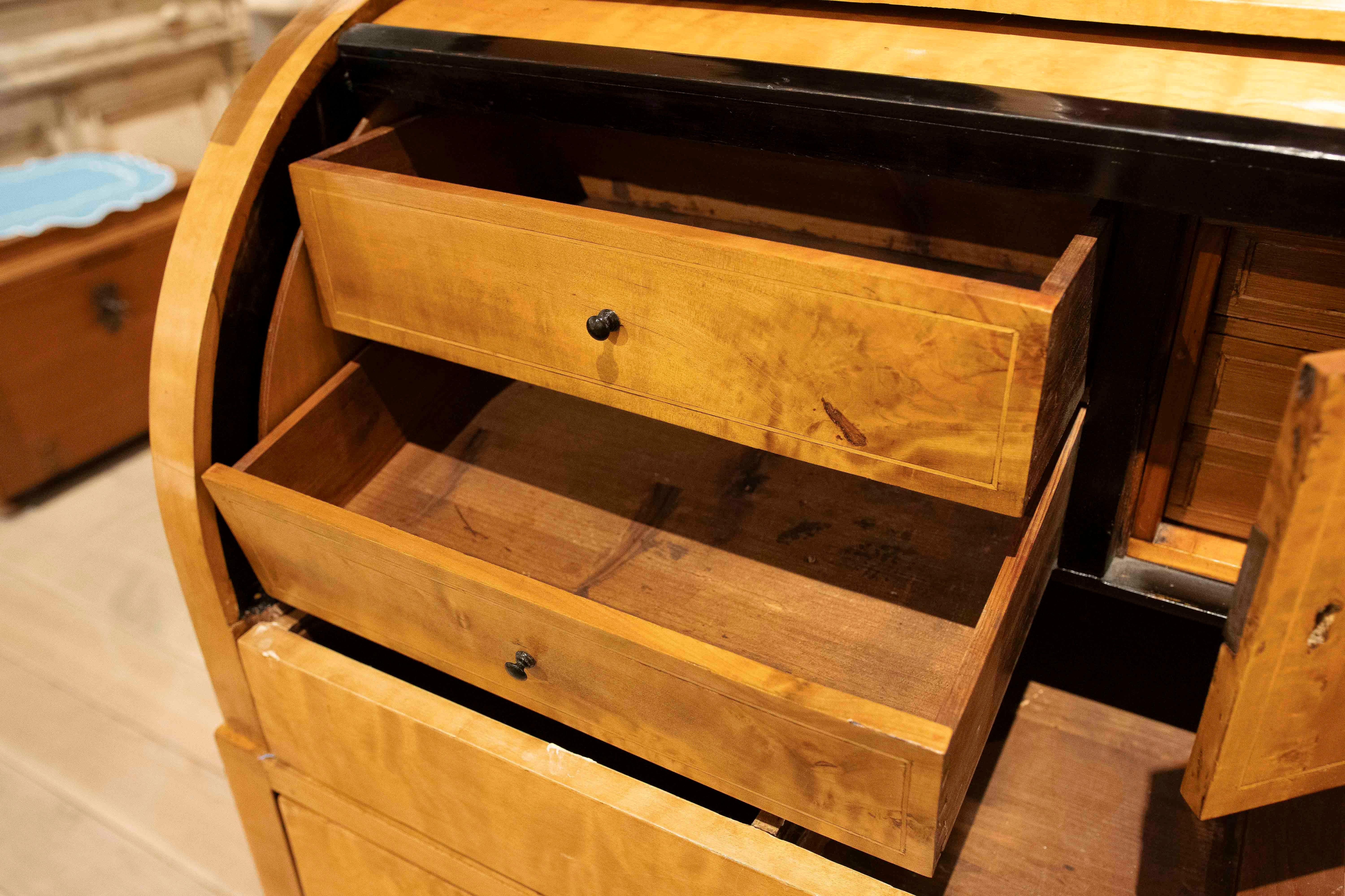 19th Swedish Biedermeier Desk Made of Birch Wood and Rosewood For Sale 7