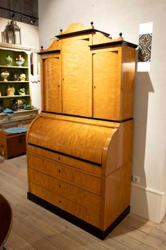 19th Swedish Biedermeier Desk Made of Birch Wood and Rosewood