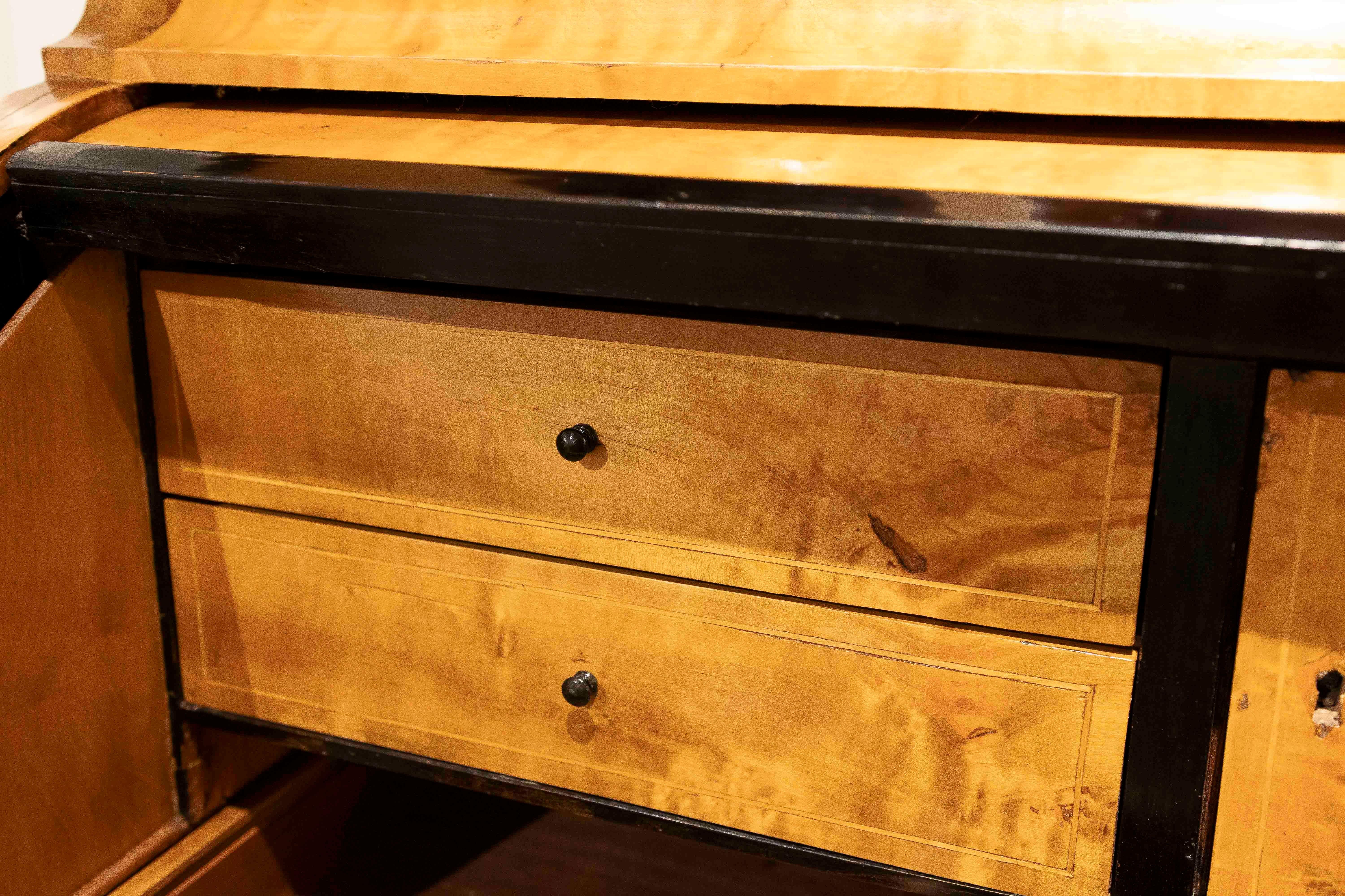 19th Swedish Biedermeier Desk Made of Birch Wood and Rosewood For Sale 4