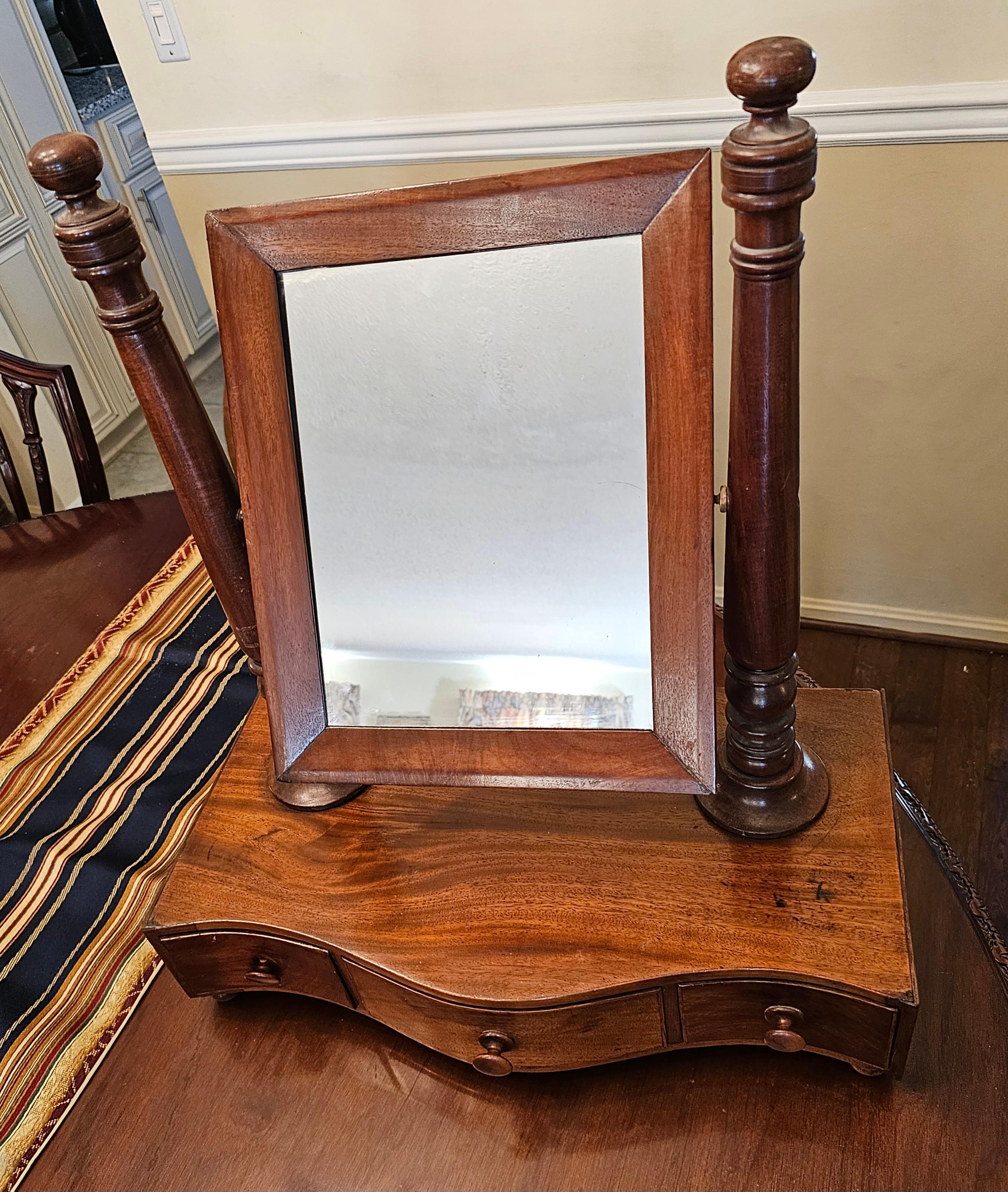 Woodwork 19th Victorian Mahogany Shaving Mirror or Chest Mirror For Sale