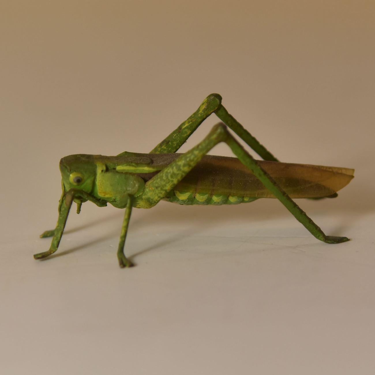 19th century Vienna bronze: Locust.