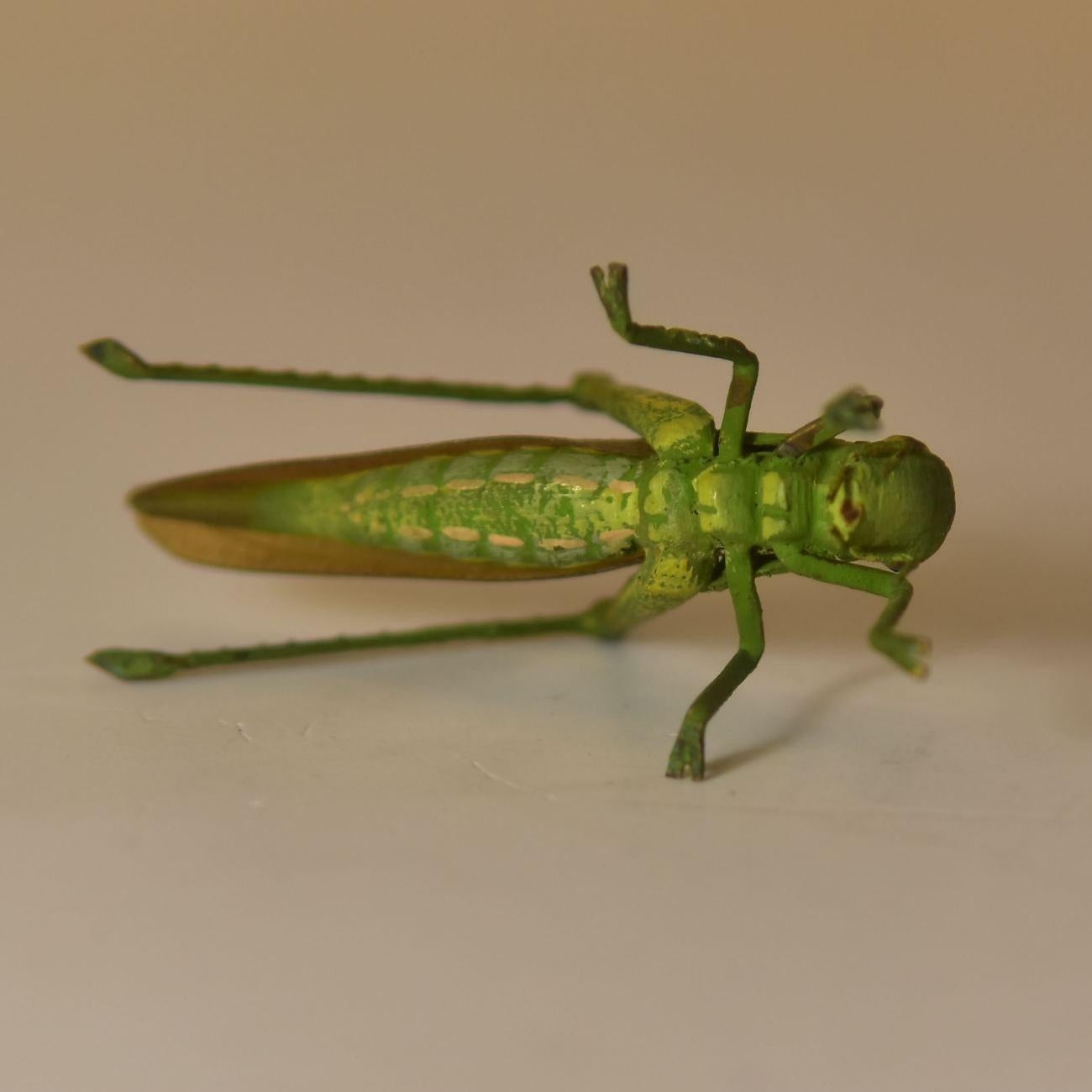 Cold-Painted 19th Century Vienna Bronze Locust For Sale