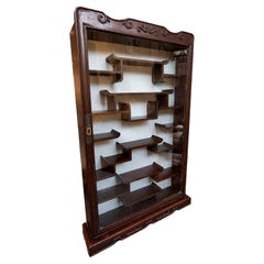 19th Wooden Display Cabinet with Glass Door and Shelves
