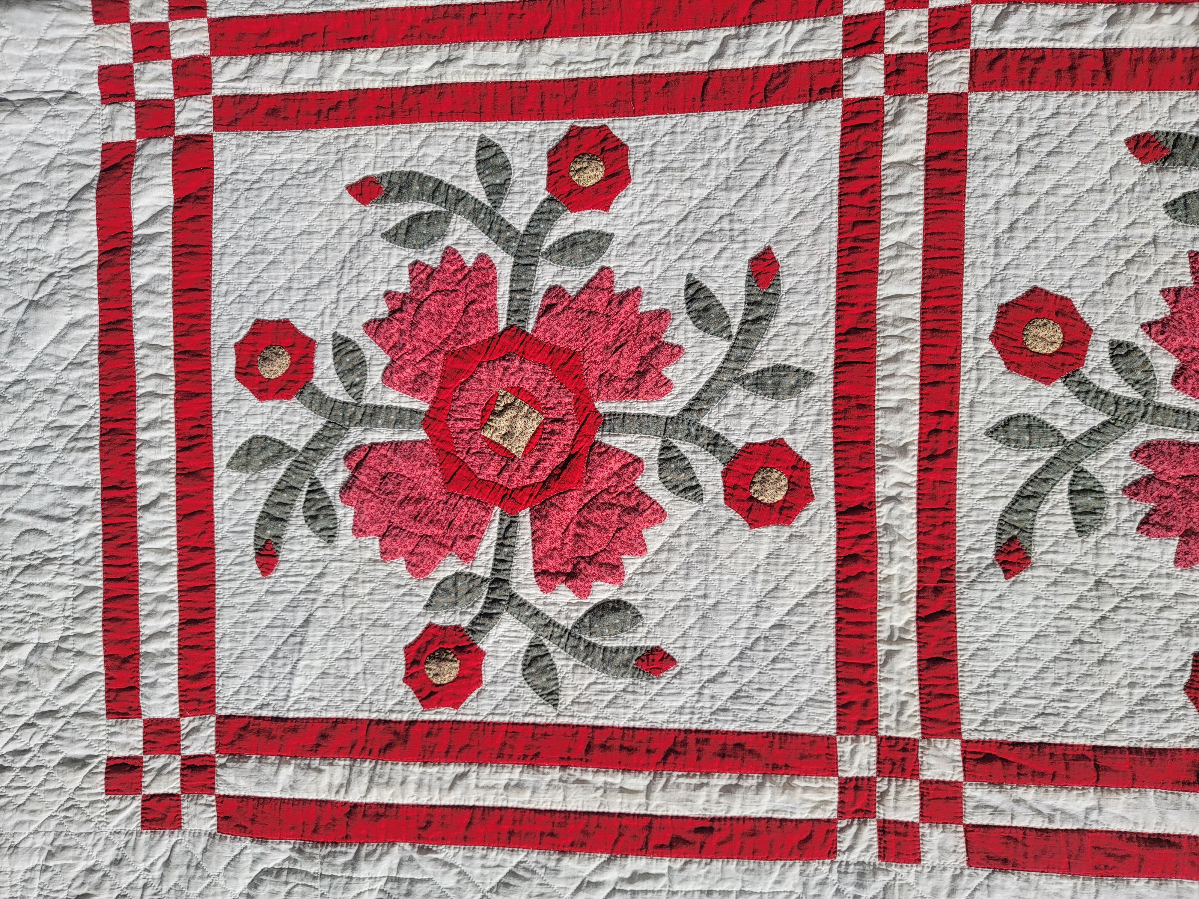 19Thc Amazing Applique from Pennsylvania For Sale 1