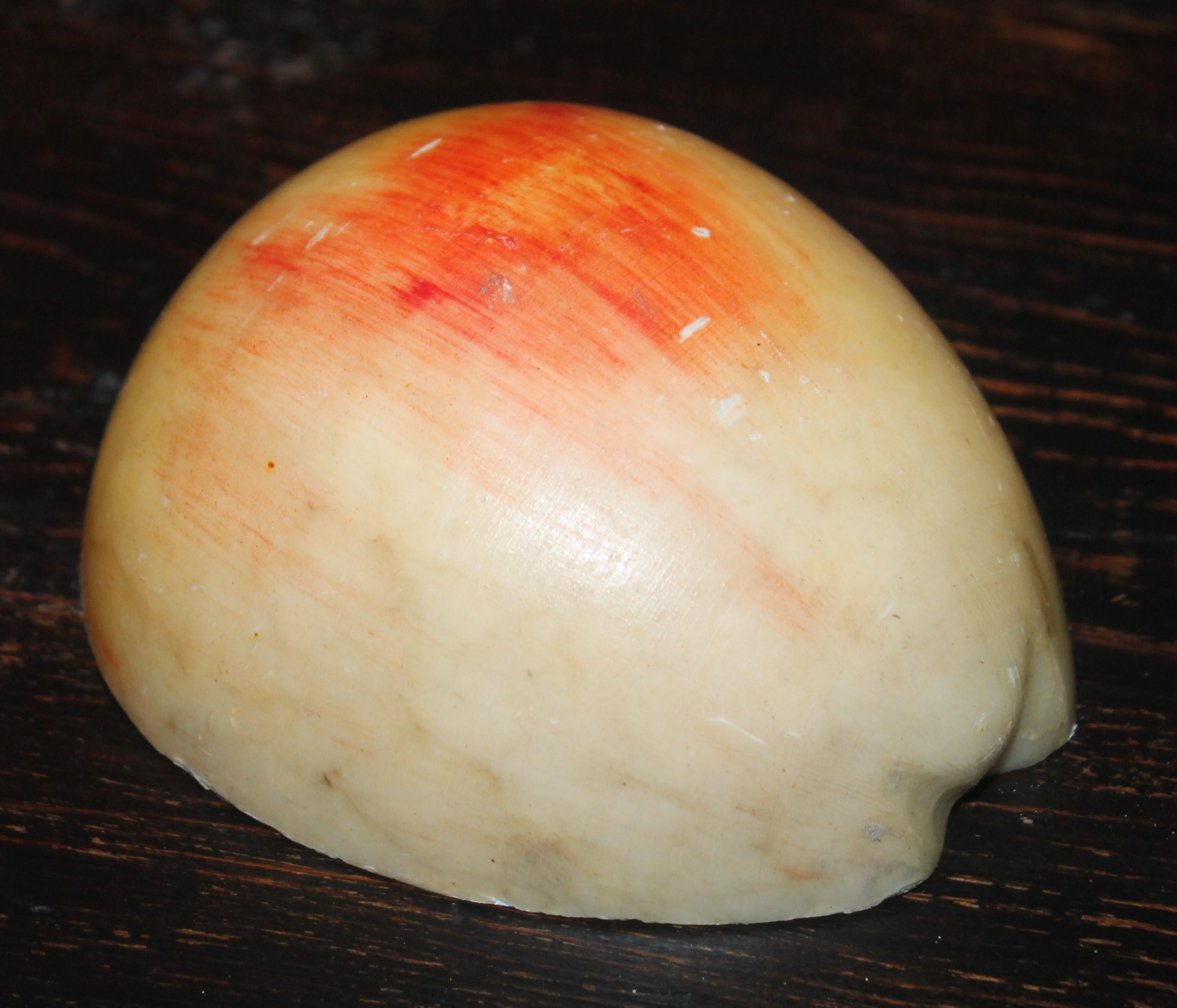 19th Century American Dough Bowl with Stone Fruit Collection of 75 Pieces 3