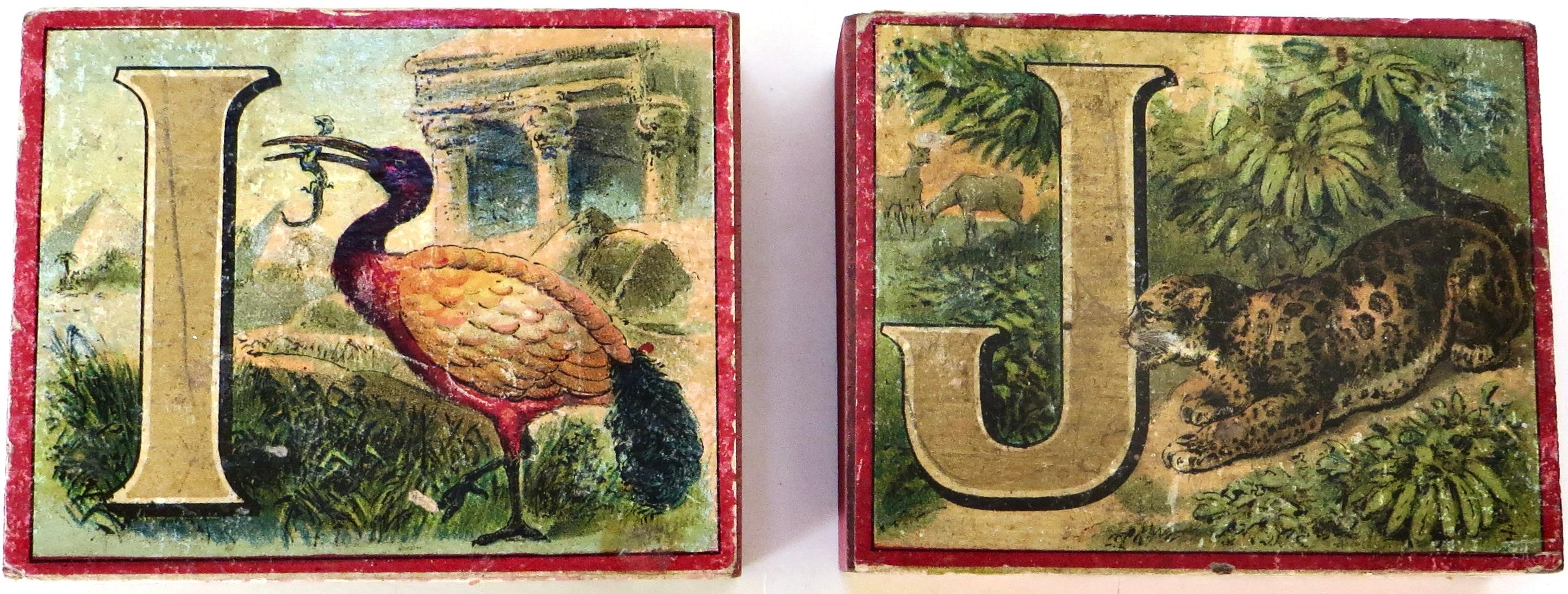 Alphabet lithographié à thème animalier du 19e siècle pour enfants 