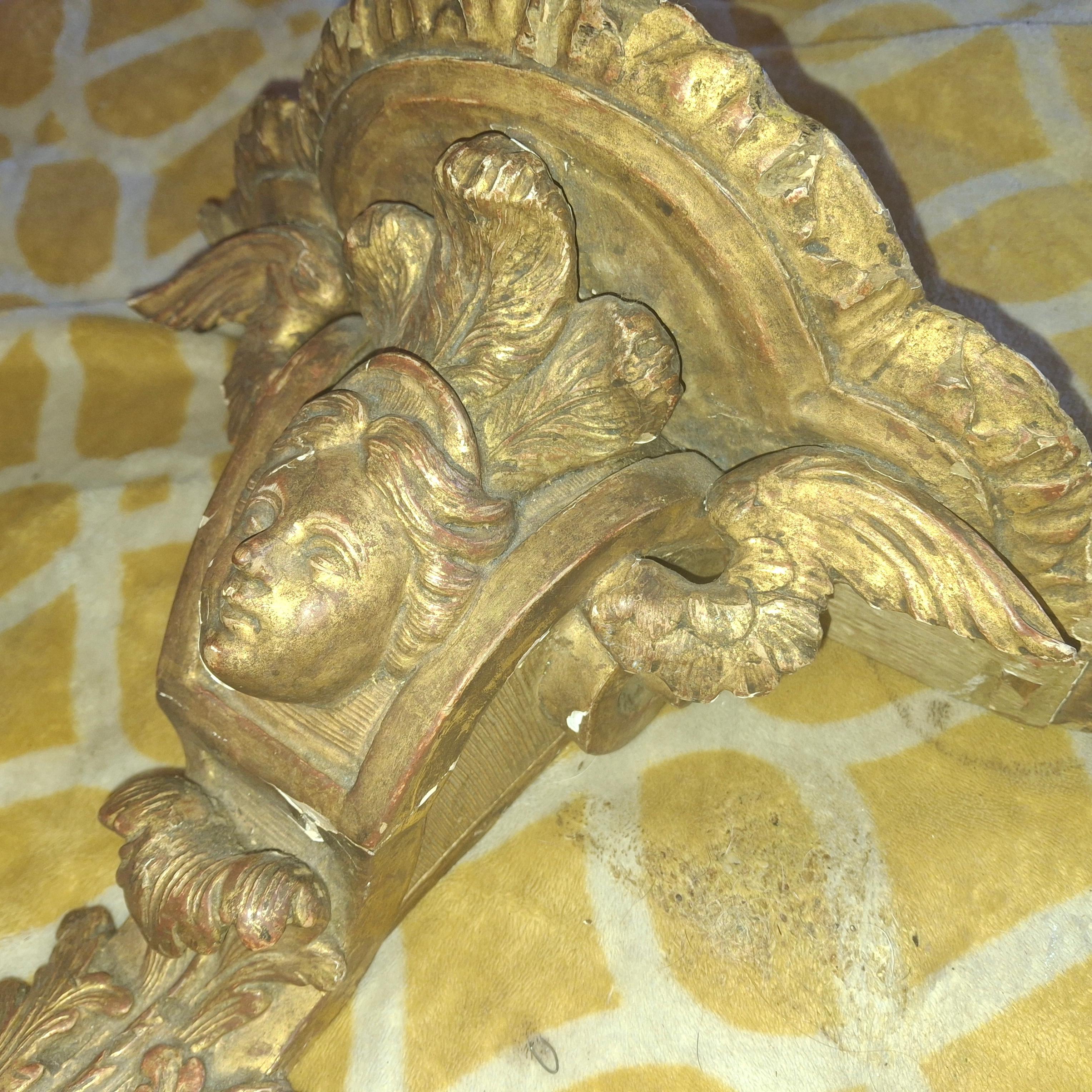Milieu du XIXe siècle Support mural chérubin Louis XVI LG en bois sculpté et doré du 19ème siècle en vente