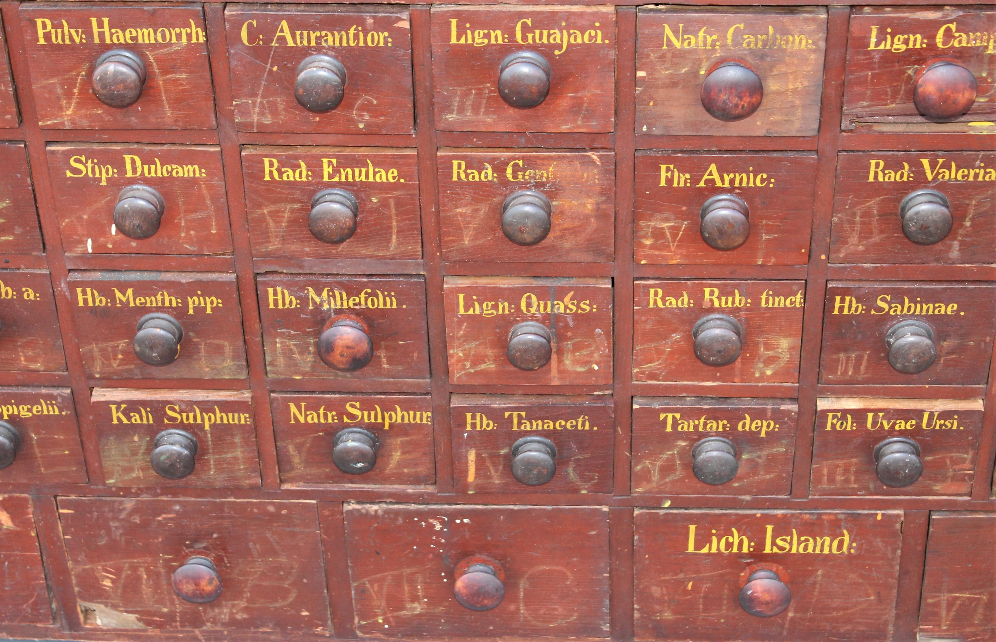 Country 19th Century Apothecary Cabinet in Original Painted Surface, 86 Drawers