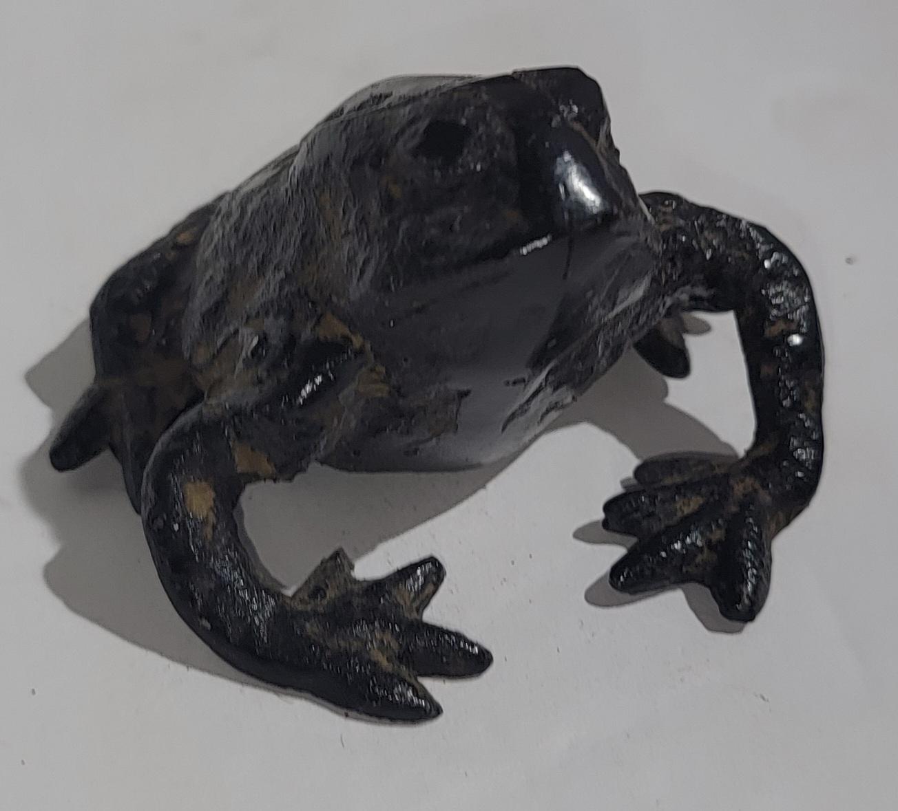 19Thc Bronze & Iron Frogs Collection 4