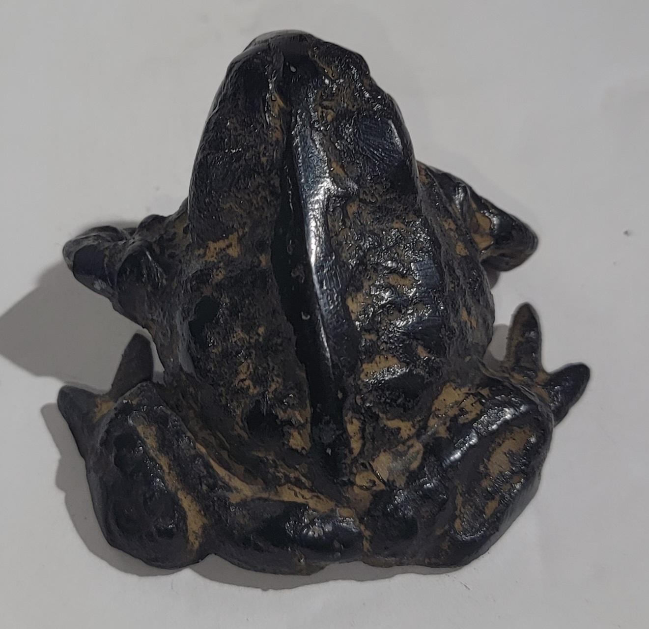 19Thc Bronze & Iron Frogs Collection For Sale 5