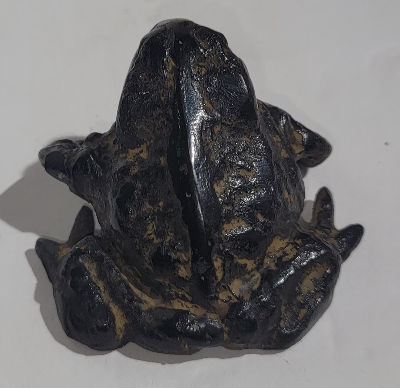 19Thc Bronze & Iron Frogs Collection 5