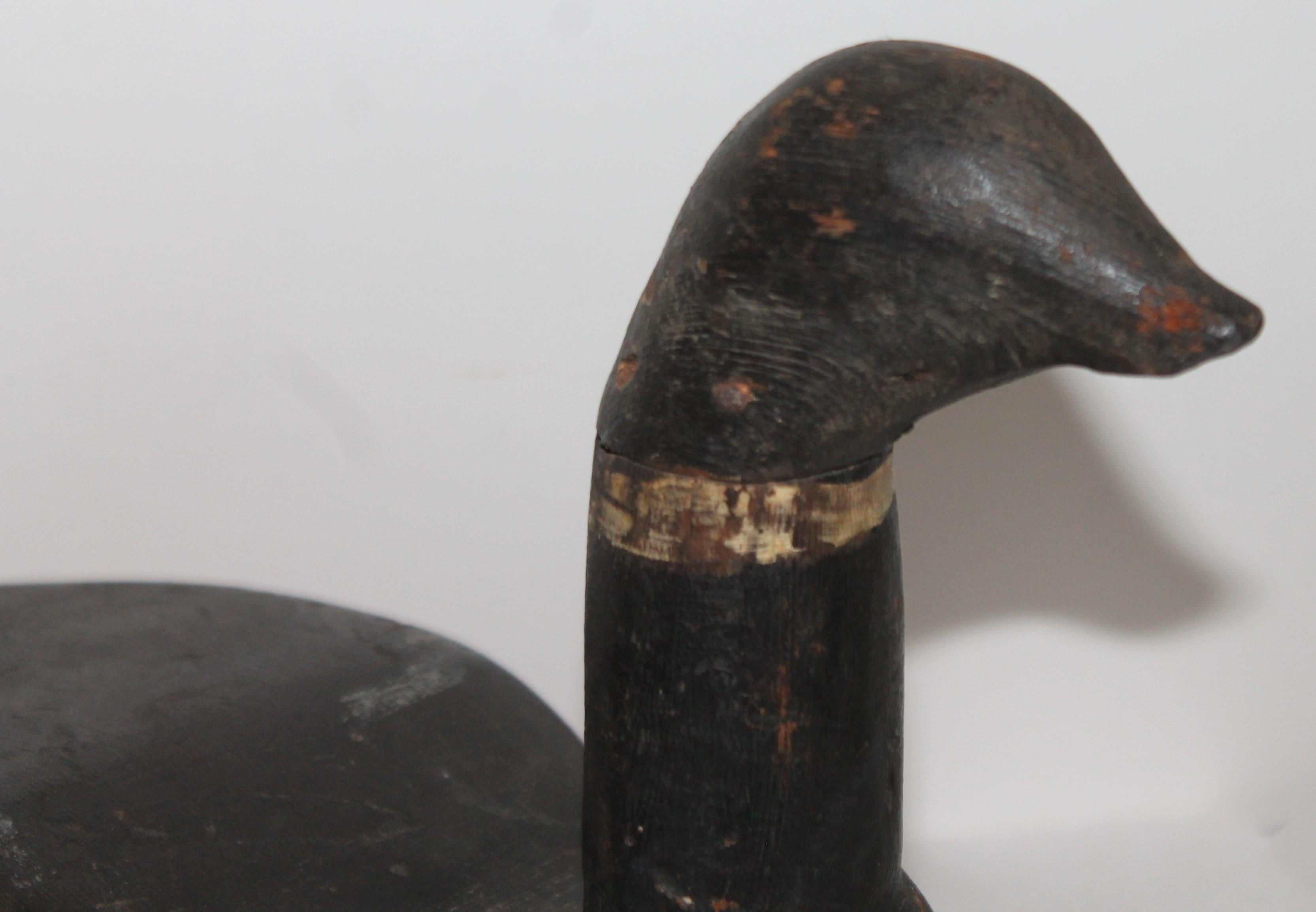 American 19th Century Canadian Goose Signed on Weight on Base