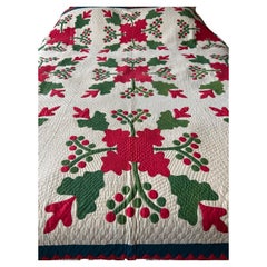 19thc Early Pennsylvania Applique Quilt