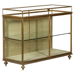 19thC English Bronze Shop Display Cabinet