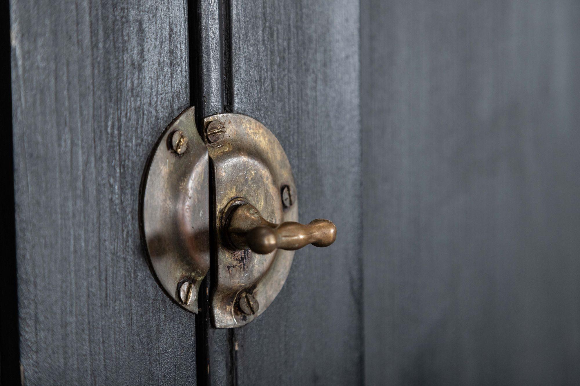 Armoire de ménage anglaise en pin ébonisé du 19e siècle en vente 2