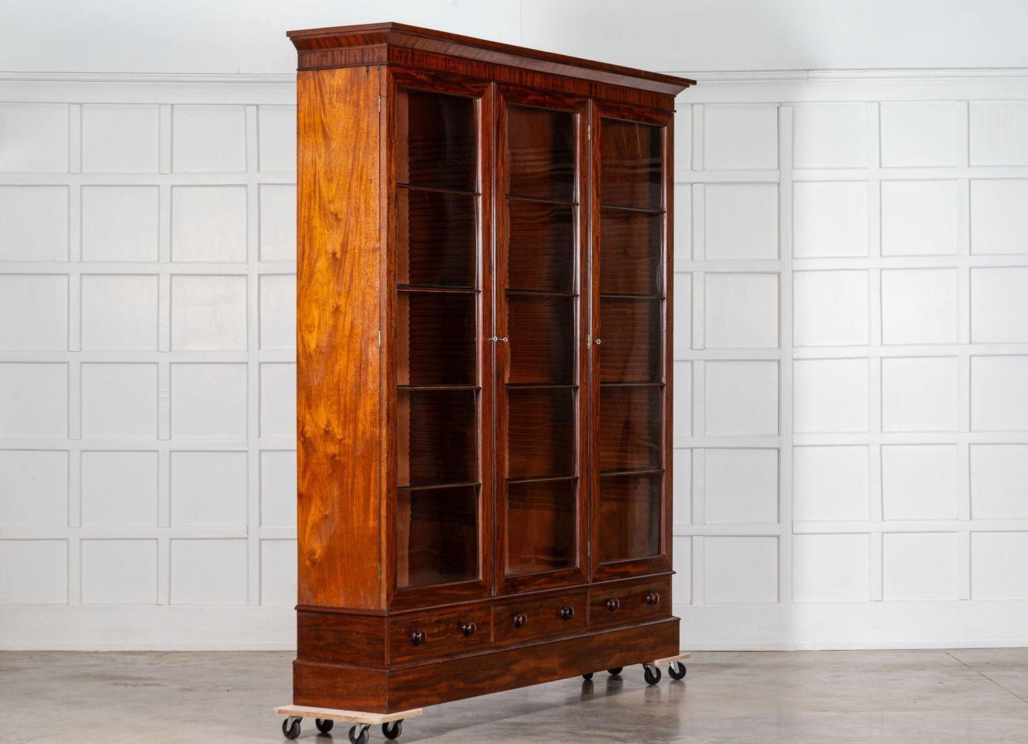 Cabinet Vitrine in mogano smaltato inglese del XIX secolo In condizioni buone in vendita a Staffordshire, GB