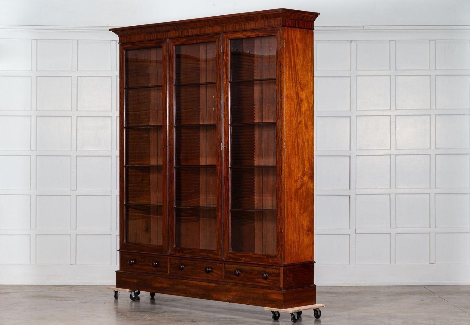 Cabinet Vitrine in mogano smaltato inglese del XIX secolo in vendita 1